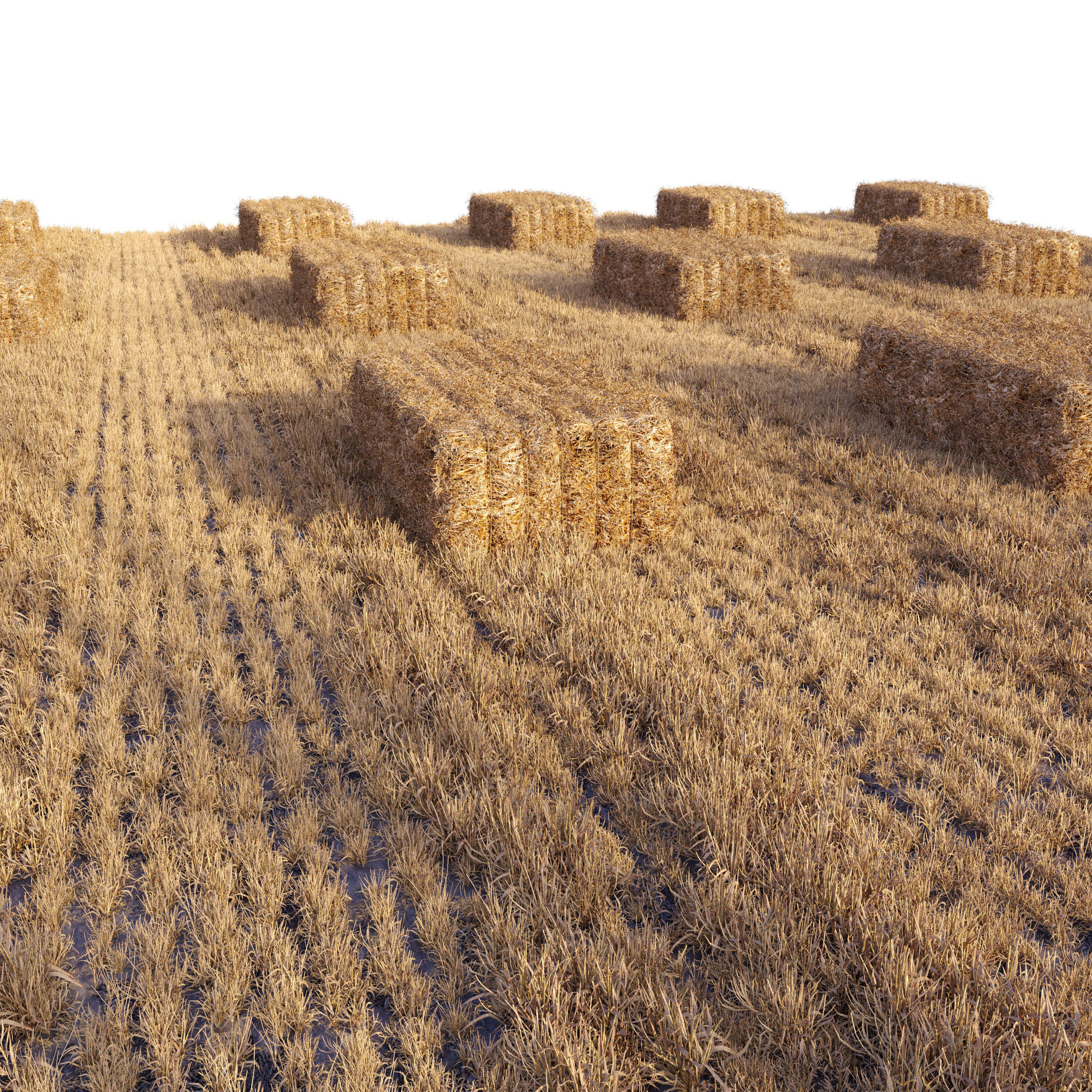 Farm field with hay bale 2 3D model_4