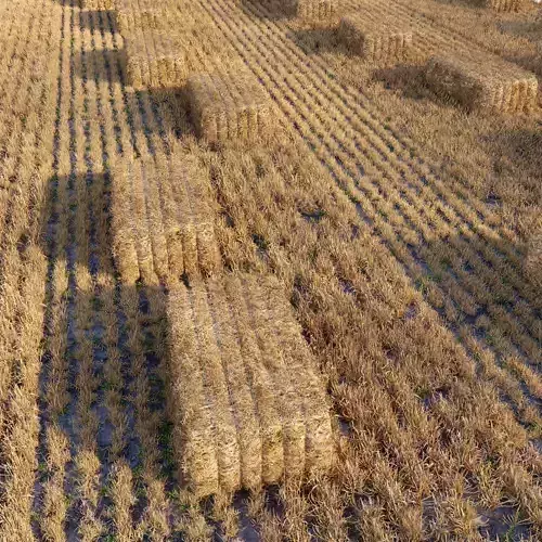 Farm field with hay bale 2 3D model