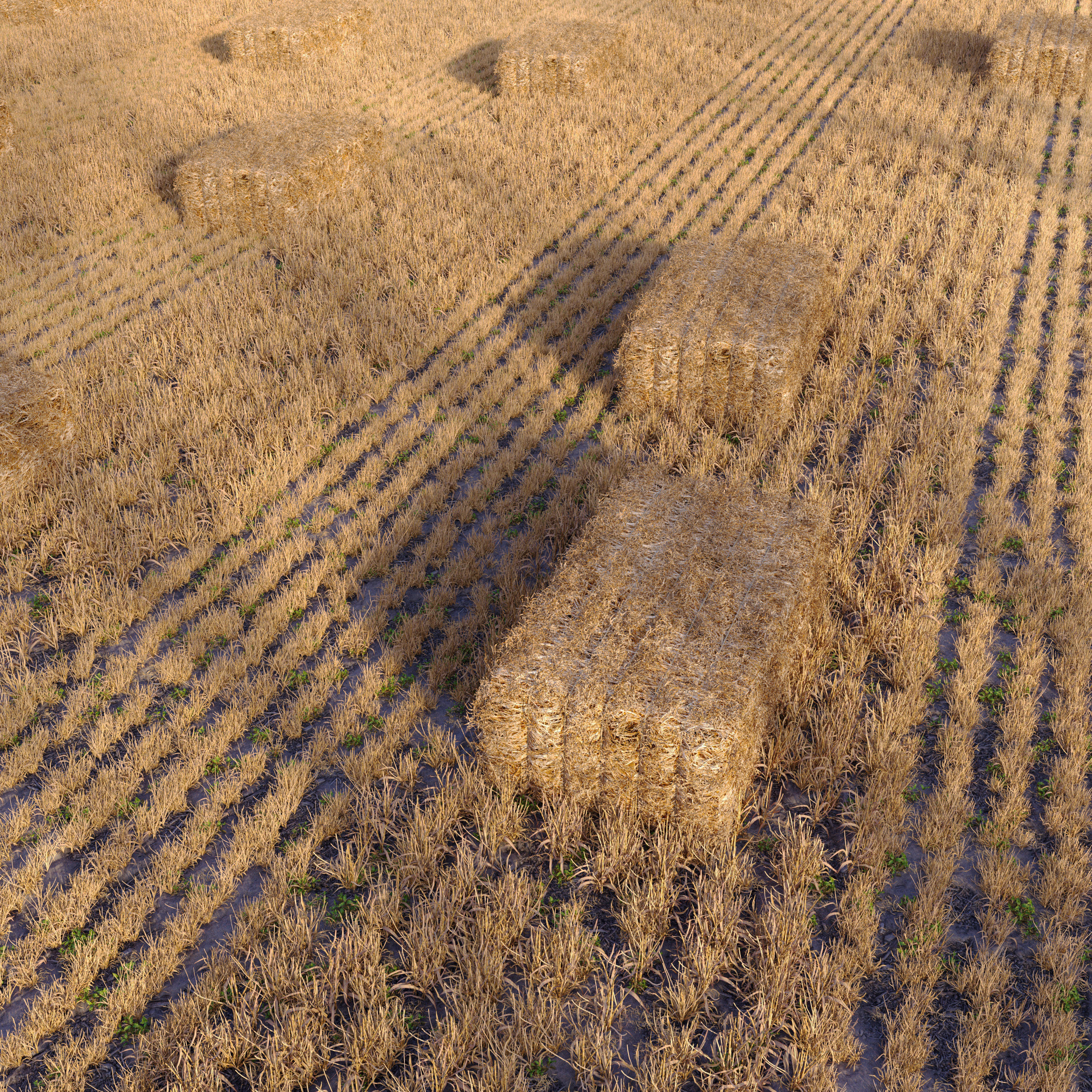 Farm field with hay bale 2 3D model_2