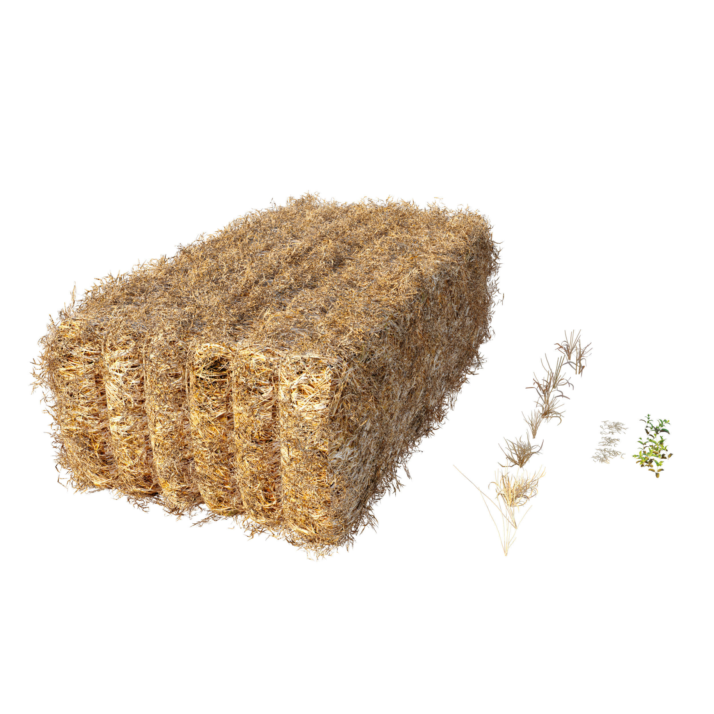 Farm field with hay bale 2 3D model_5