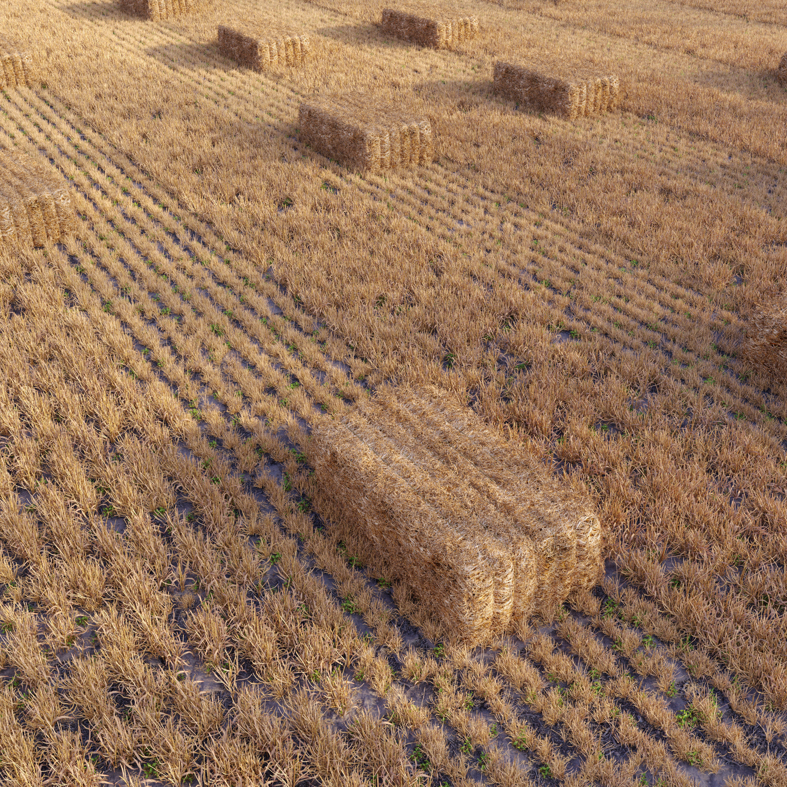 Farm field with hay bale 2 3D model_1