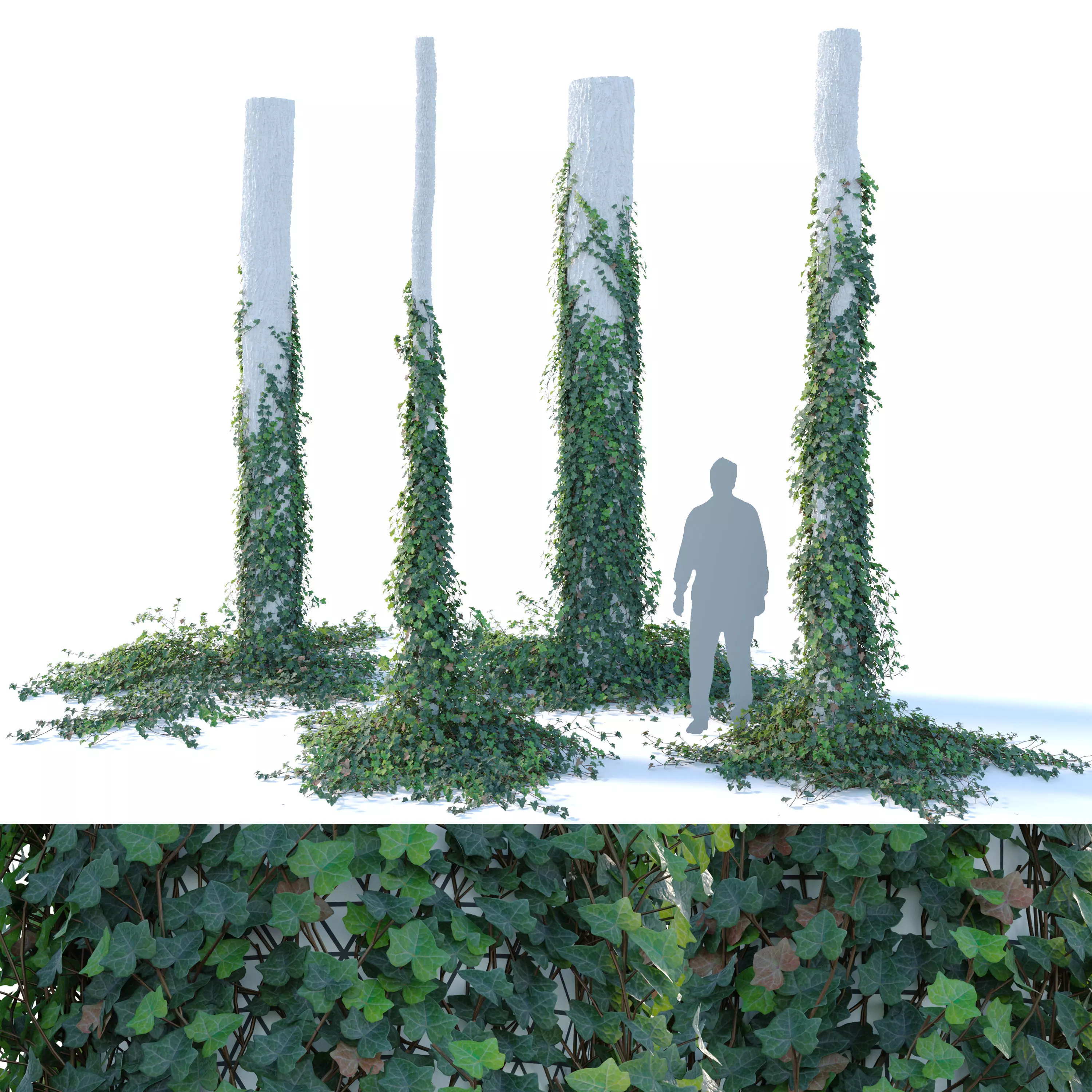Ivy on trunk 3D model
