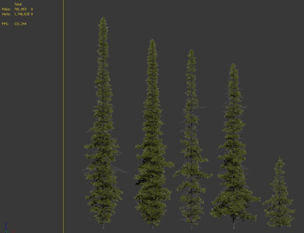 Fir tree 04 3D model_7