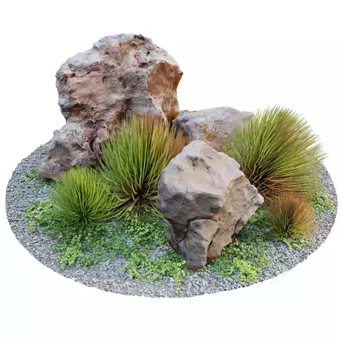 Rocks and plants