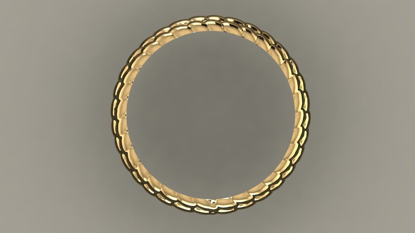 Snake Skin ring  3D print model_2