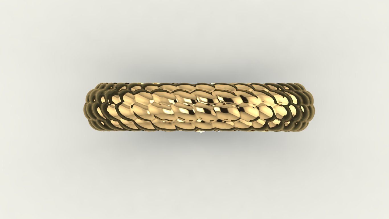 Snake Skin ring  3D print model_6