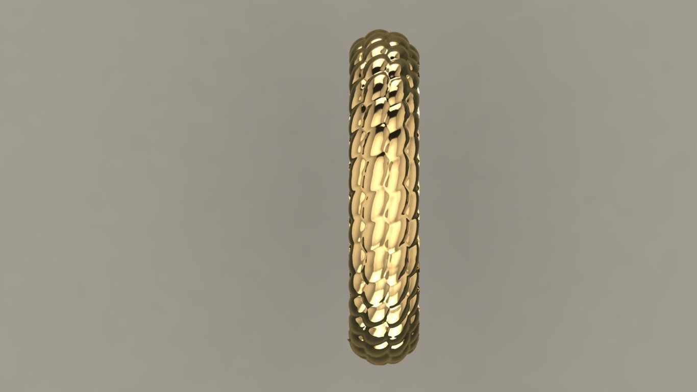 Snake Skin ring  3D print model_5