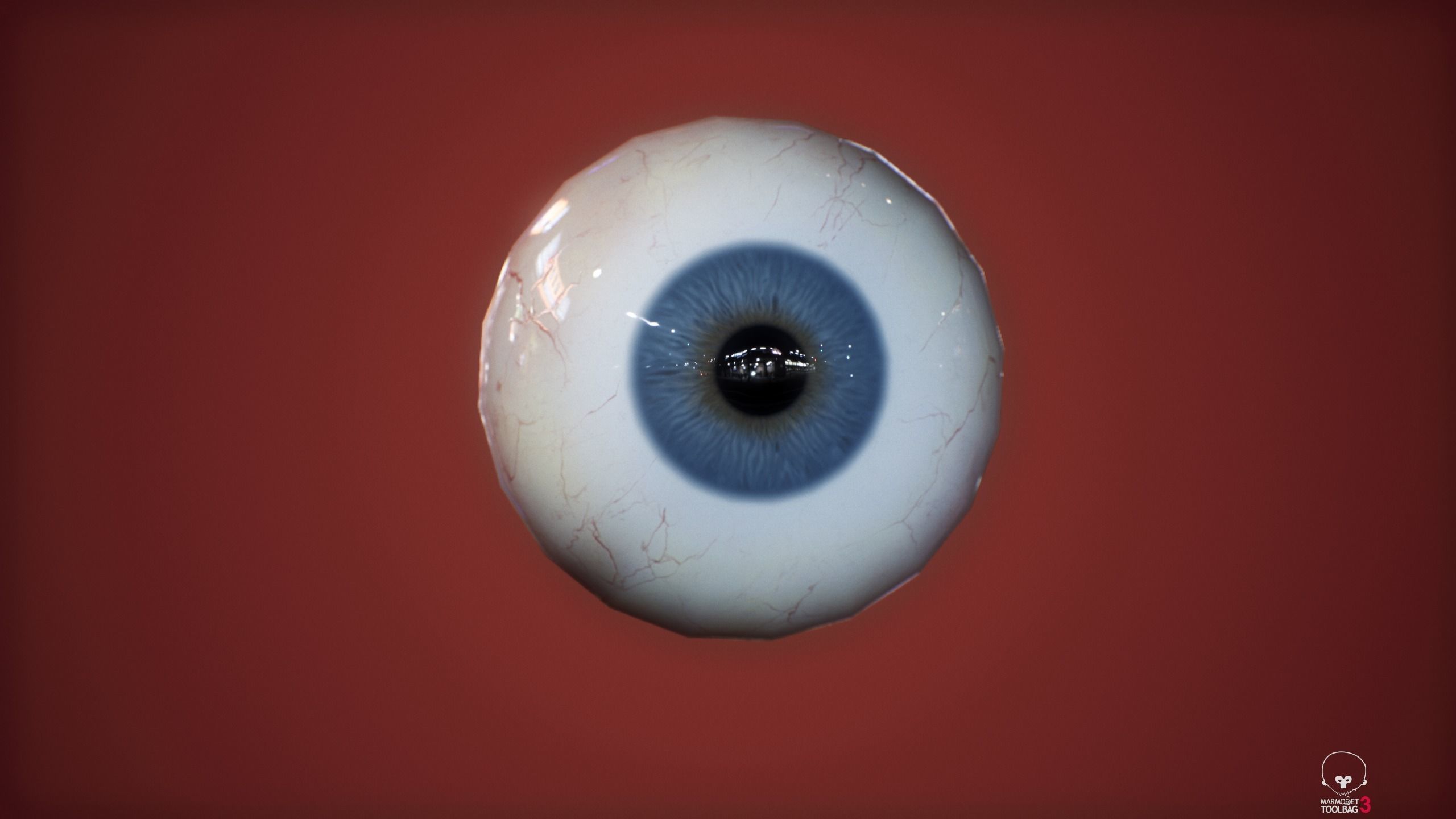 16 Colors of Realistic Eye - Demo Free low-poly 3D model_1