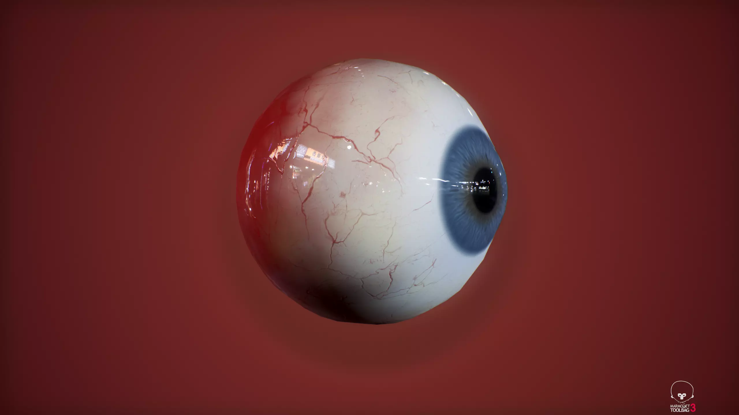 16 Colors of Realistic Eye - Demo Free low-poly 3D model_0