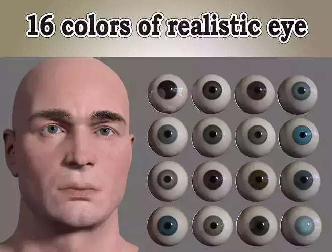 16 Colors of Realistic Eye Low-poly 3D model