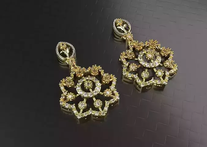 Beautiful Earrings 01