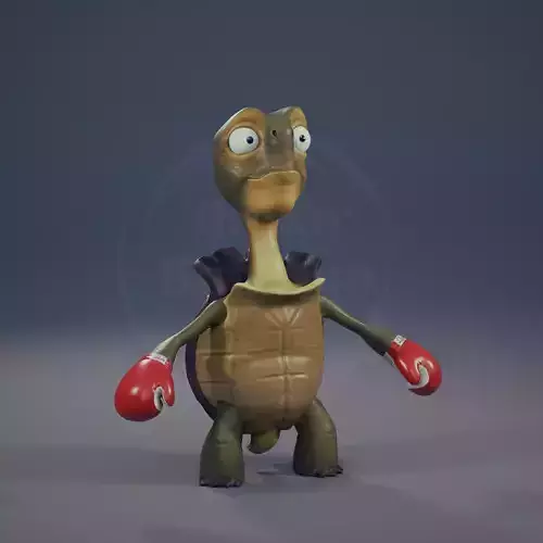 Tortoise the boxer