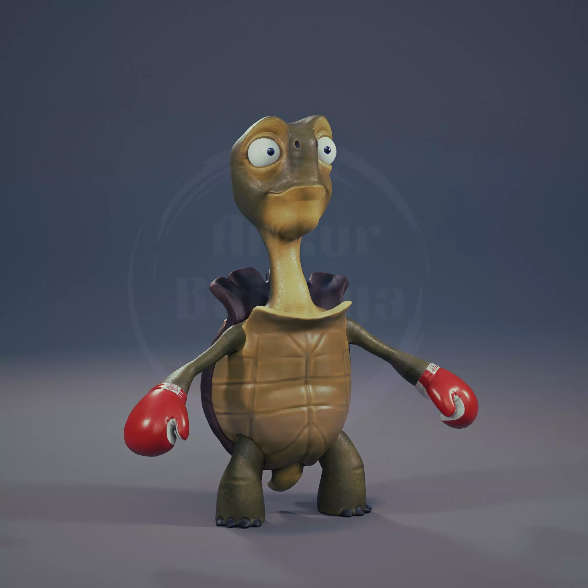 Tortoise the boxer Low-poly 3D model_0