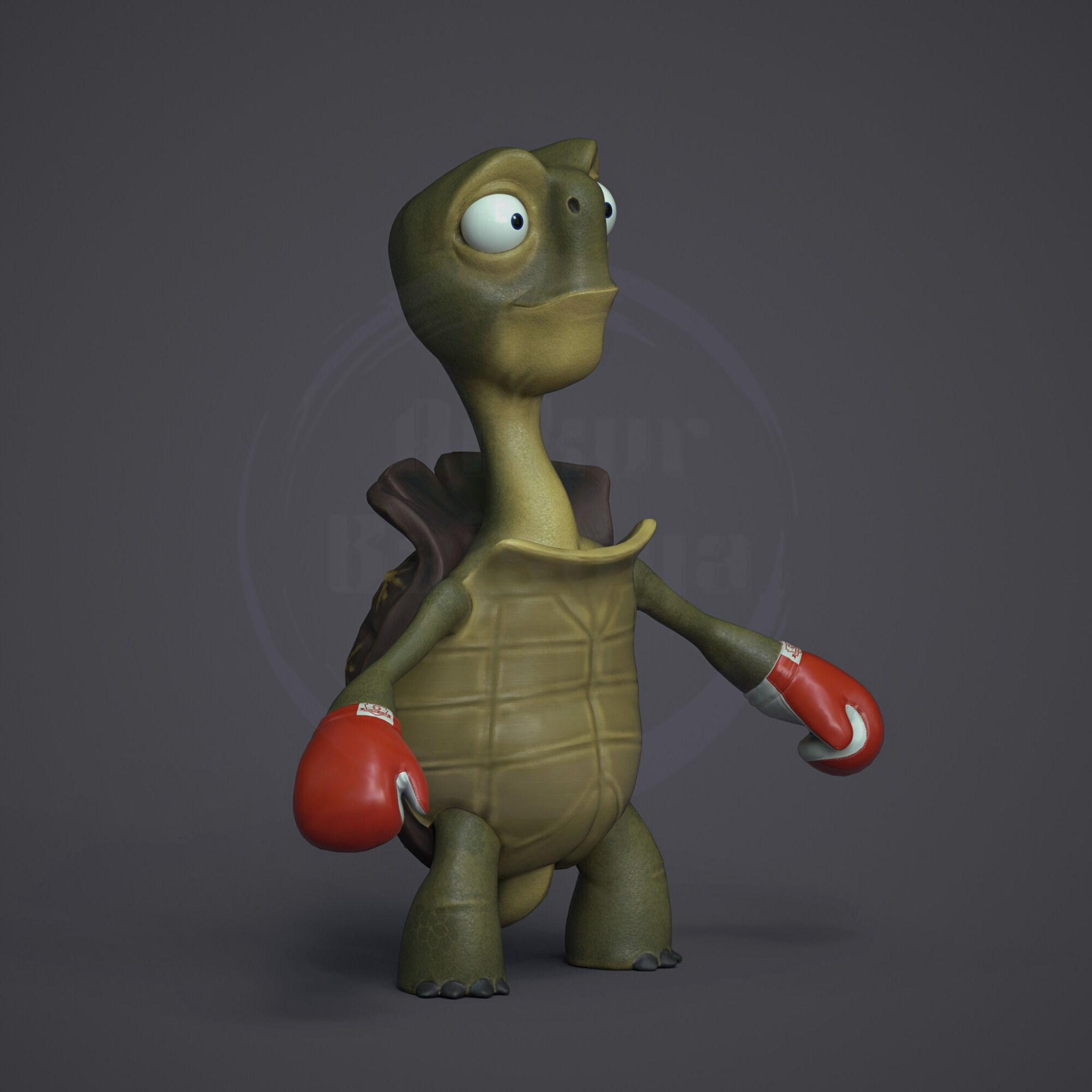 Tortoise the boxer Low-poly 3D model_3