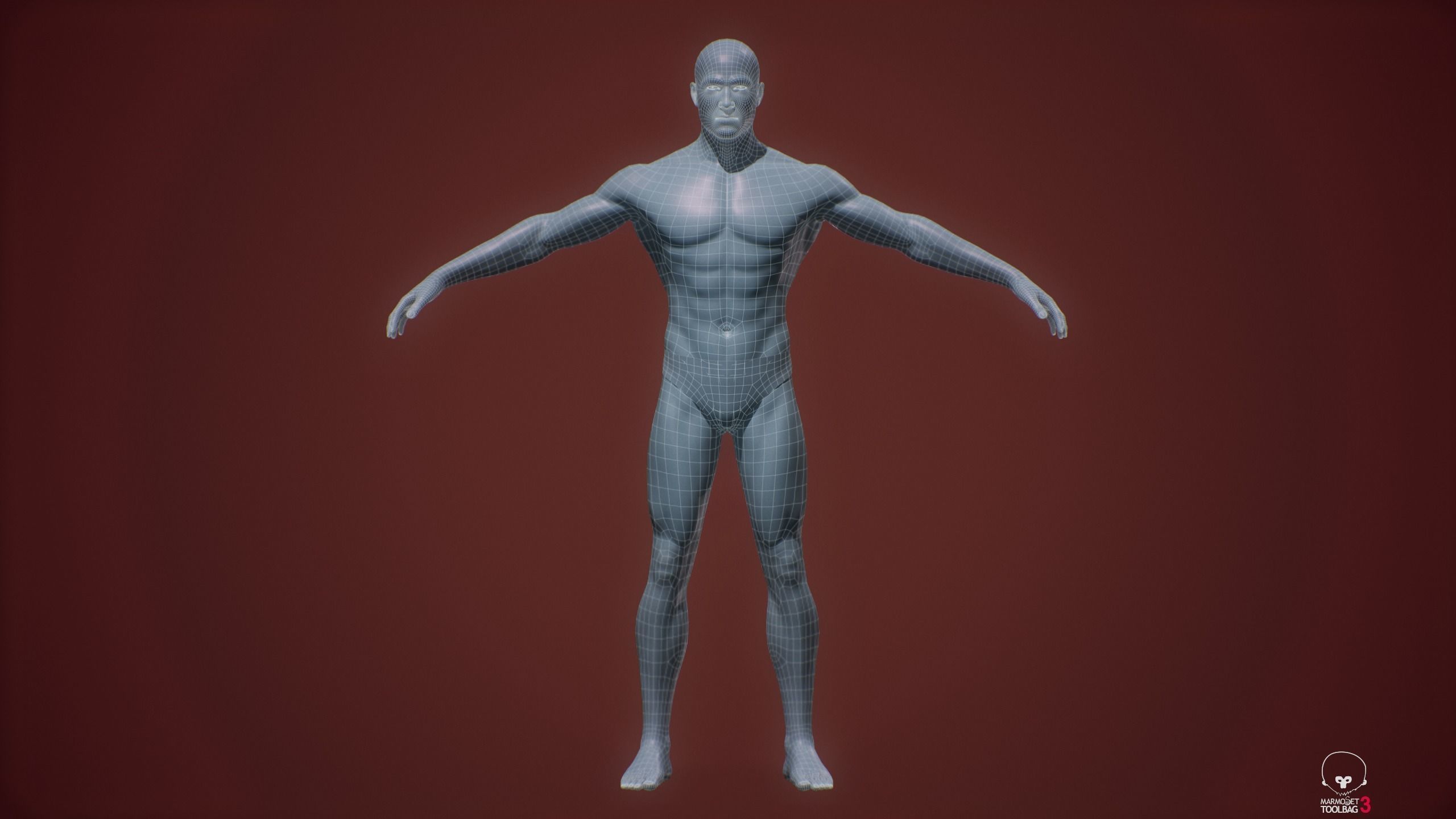Base mesh male body Low-poly 3D model_8