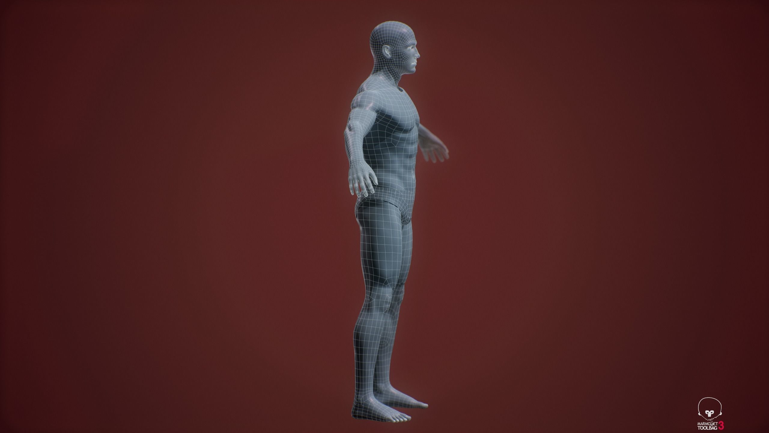 Base mesh male body Low-poly 3D model_11