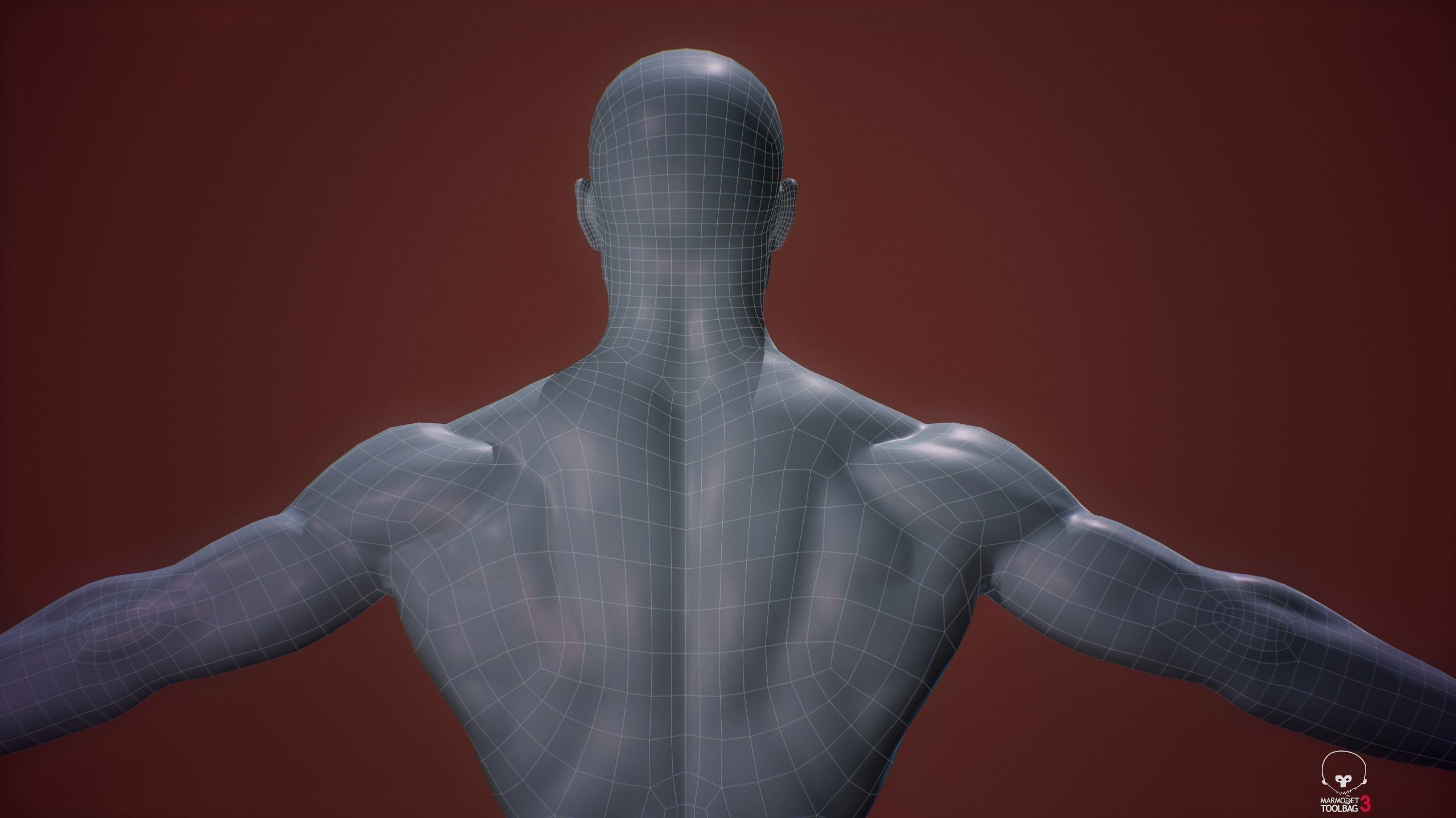 Base mesh male body Low-poly 3D model_16