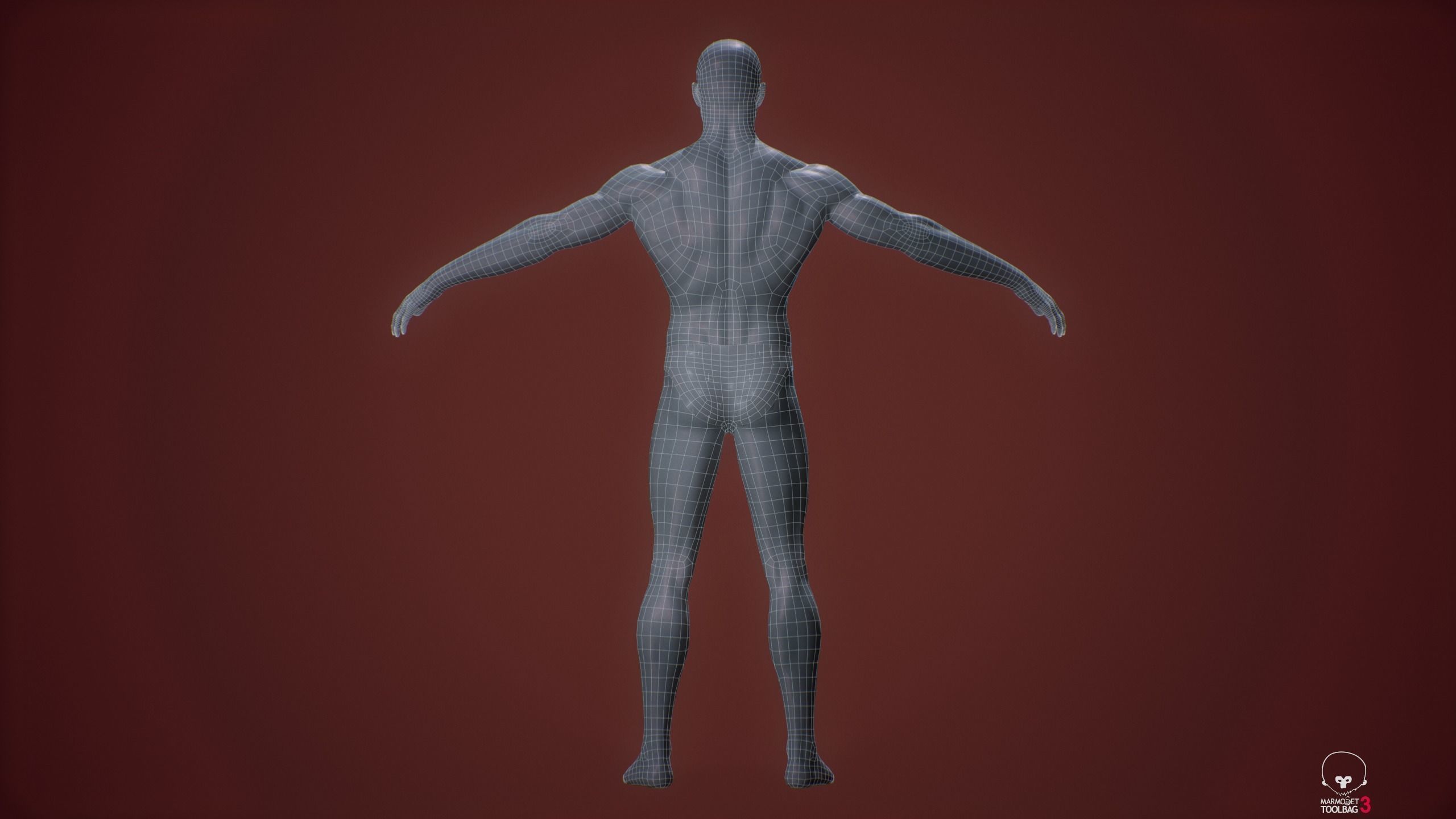 Base mesh male body Low-poly 3D model_12