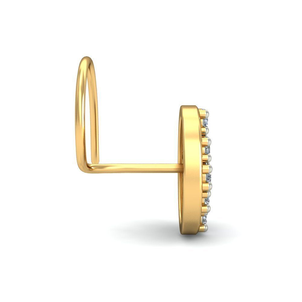 Nose pin - 174 3D print model_1