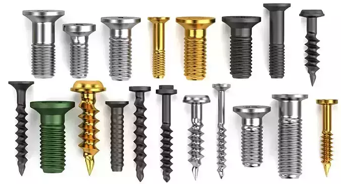 Screws Free 3D model