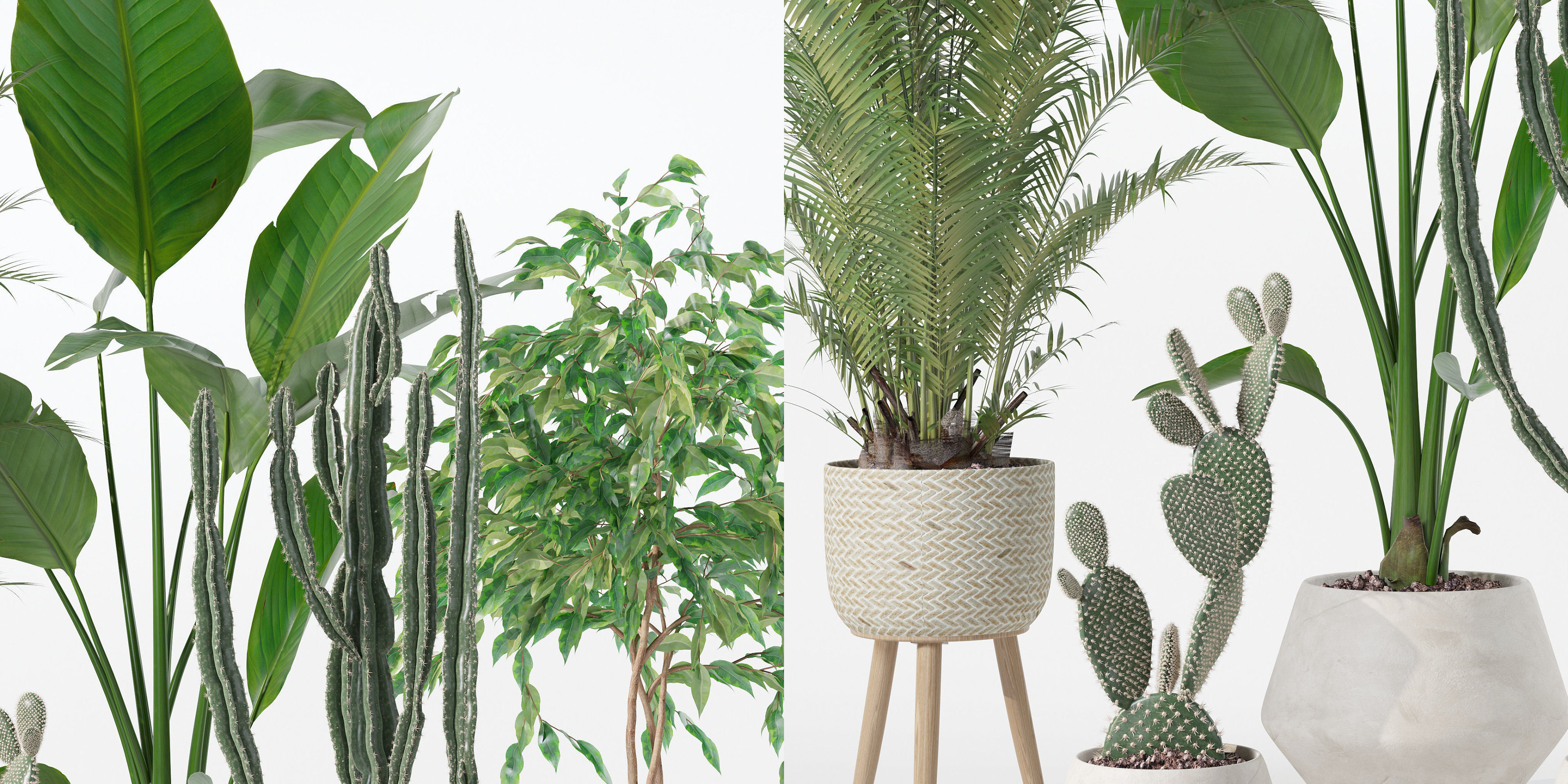 Plants collection 119 3D model_28