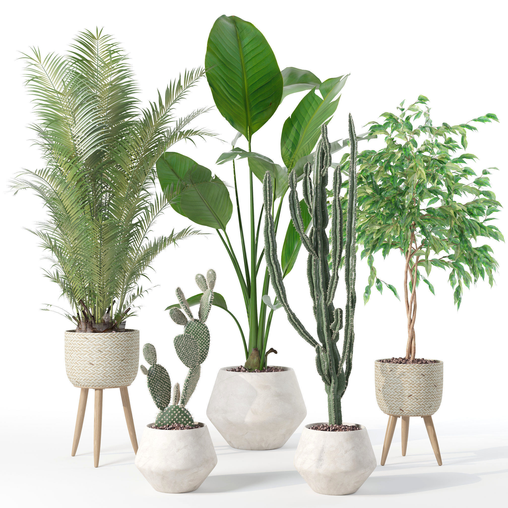Plants collection 119 3D model_23