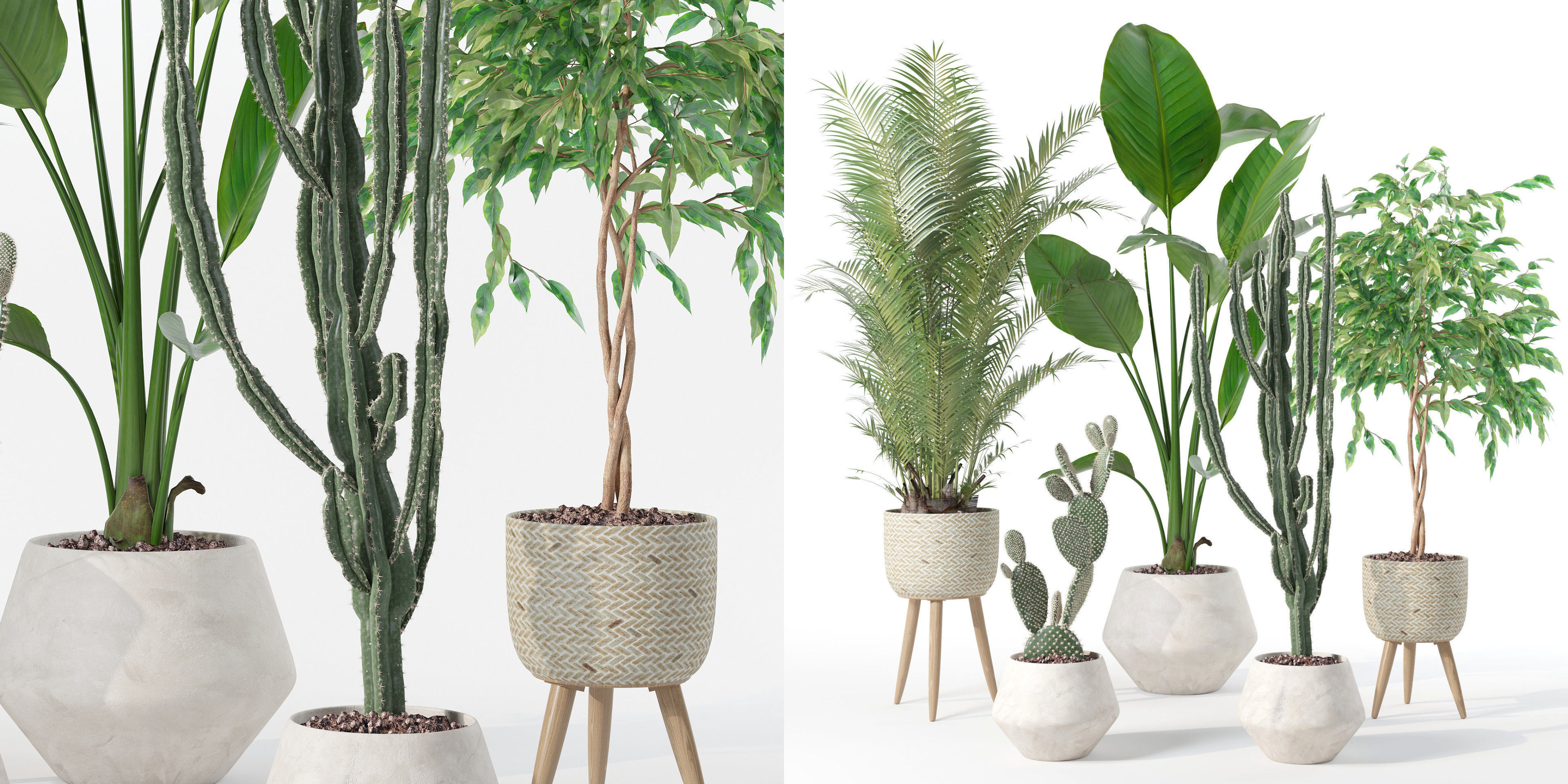 Plants collection 119 3D model_3