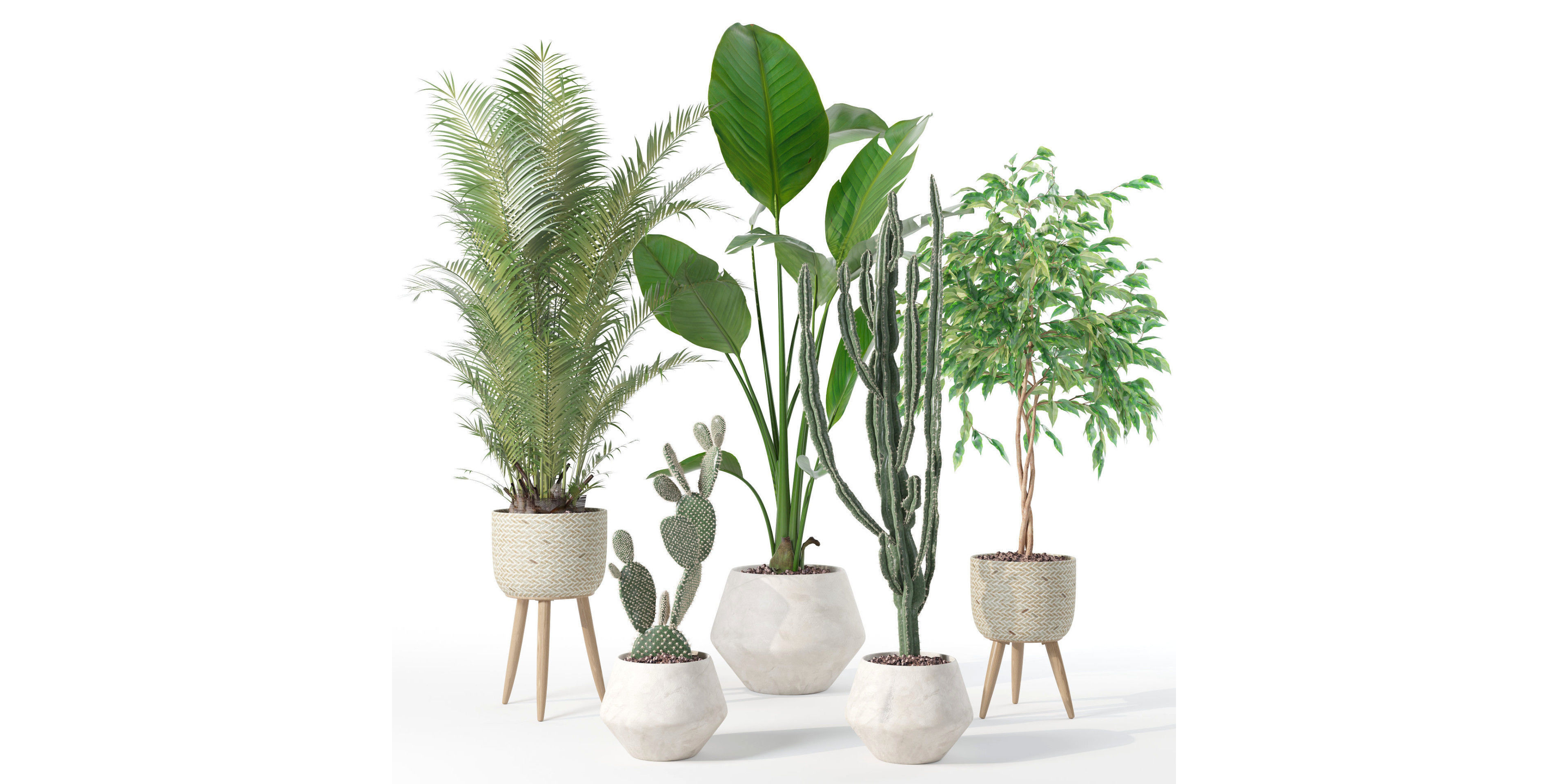 Plants collection 119 3D model_24