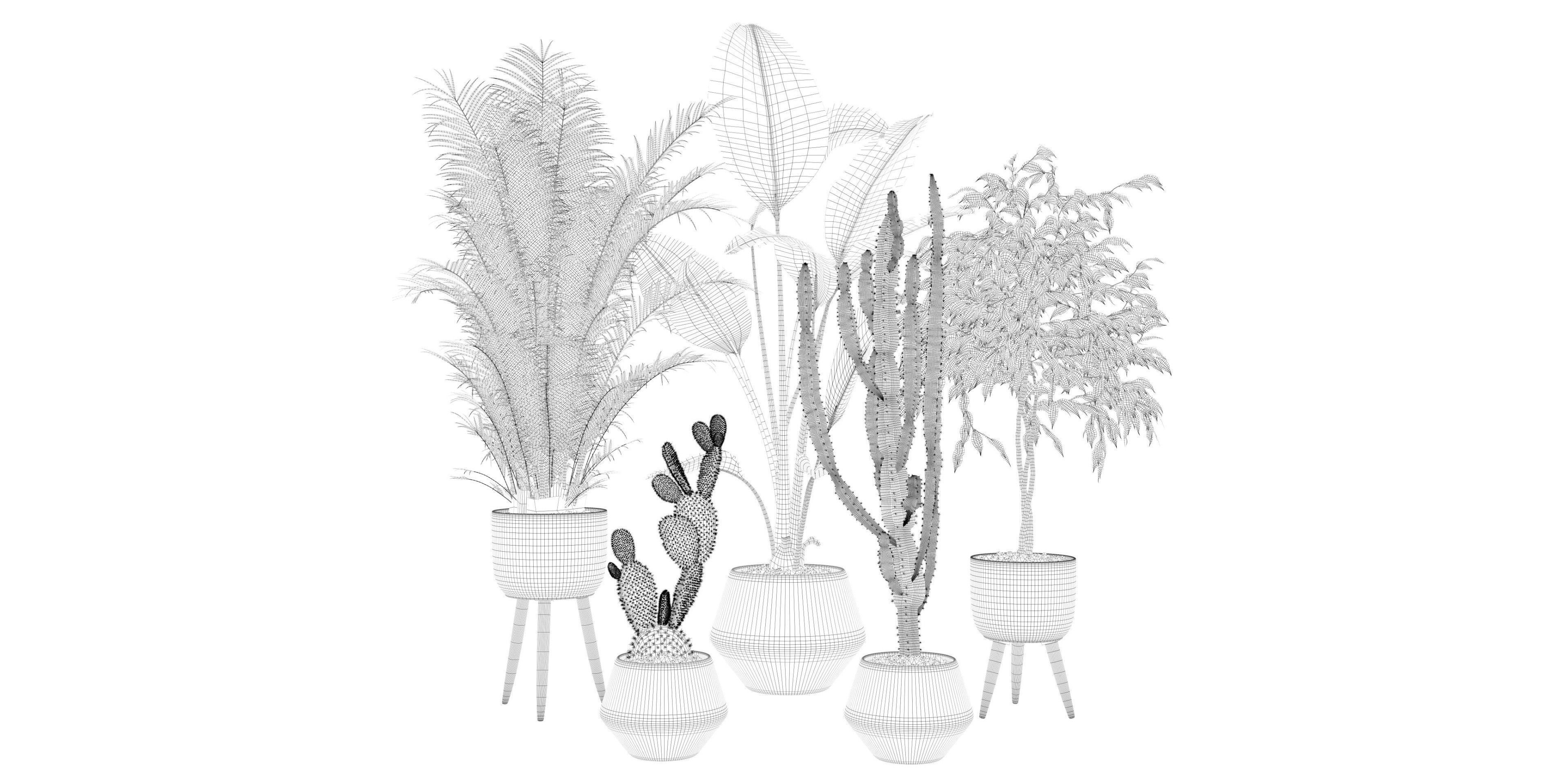 Plants collection 119 3D model_25