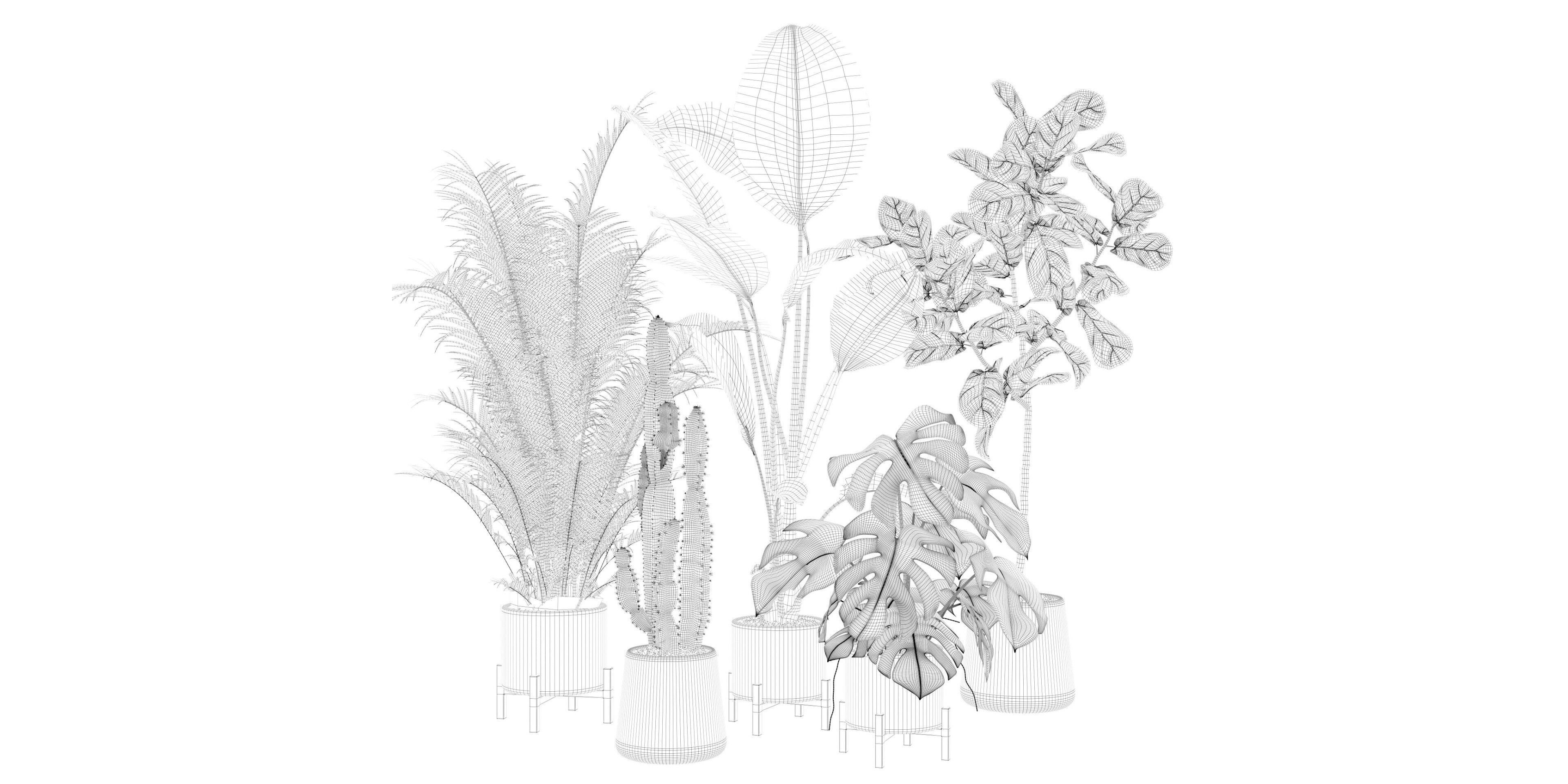 Plants collection 122 3D model_24