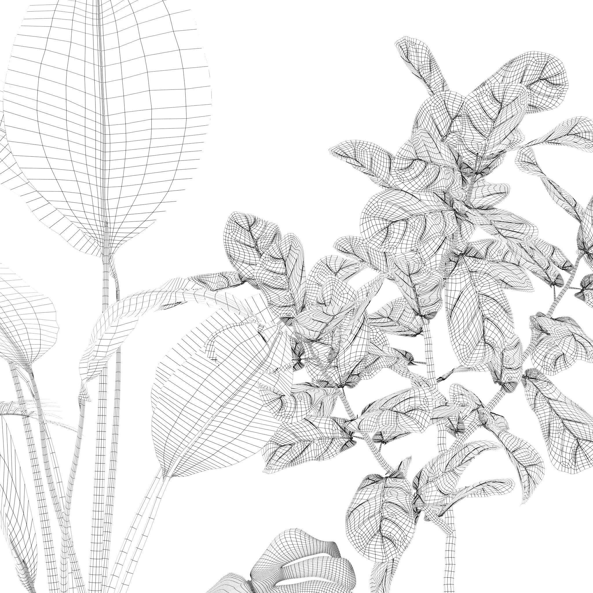 Plants collection 122 3D model_11