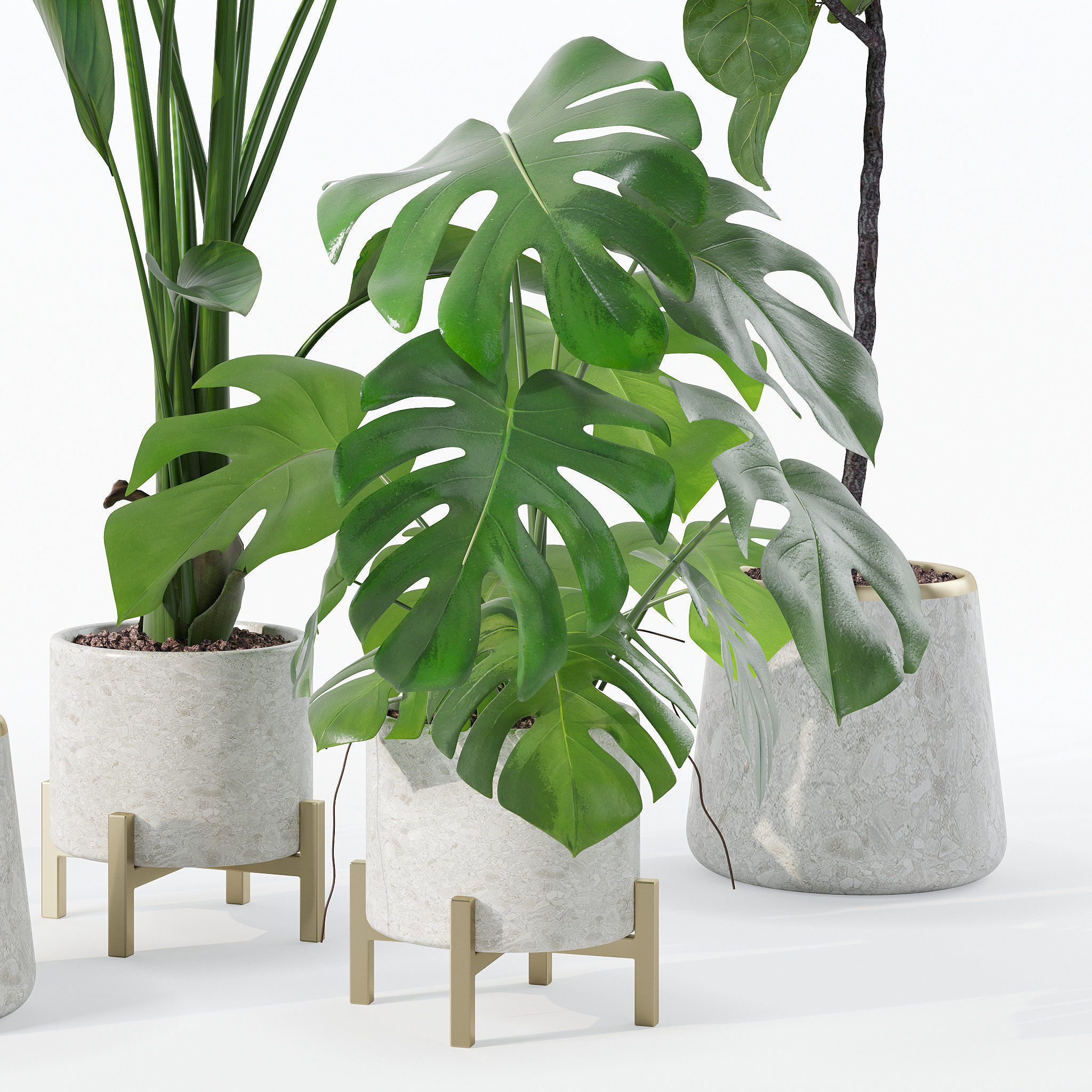 Plants collection 122 3D model_16