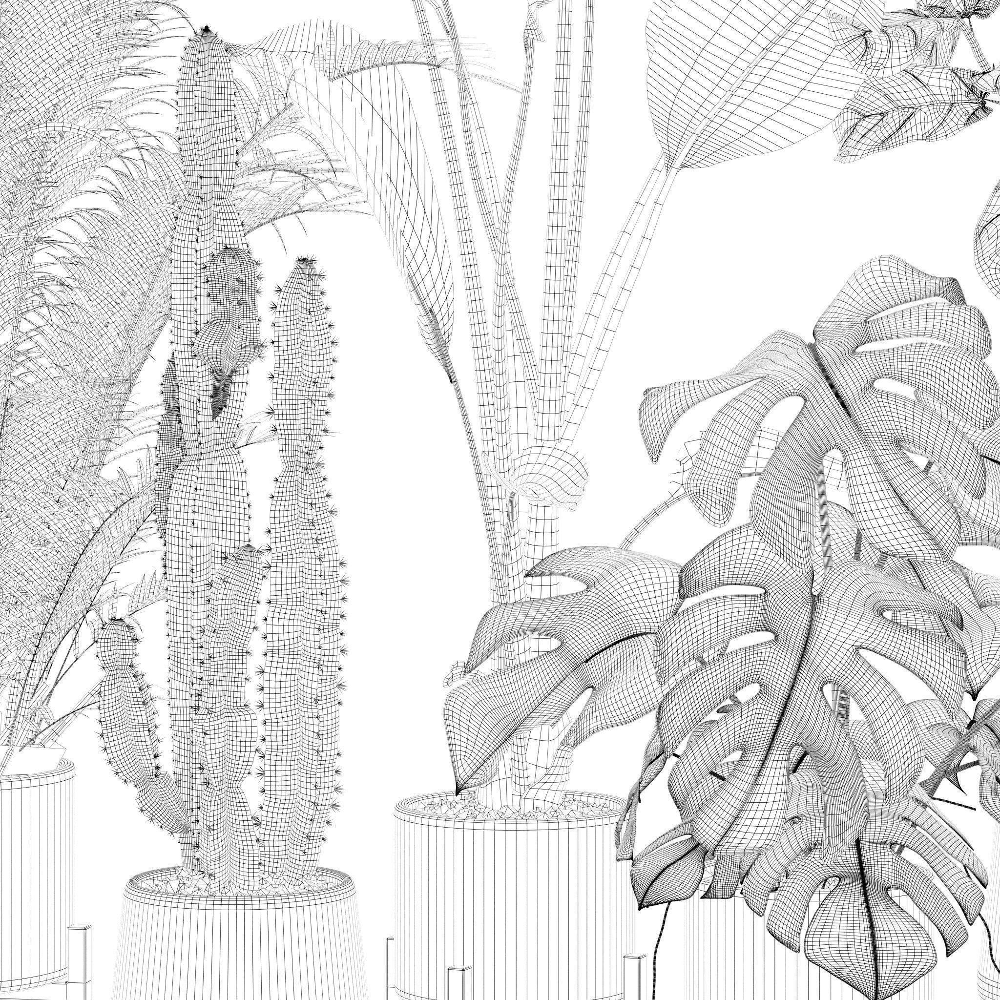 Plants collection 122 3D model_34