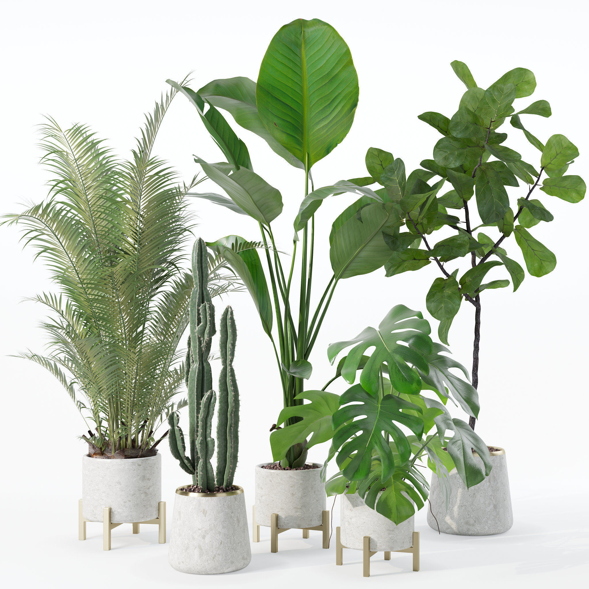 Plants collection 122 3D model_22