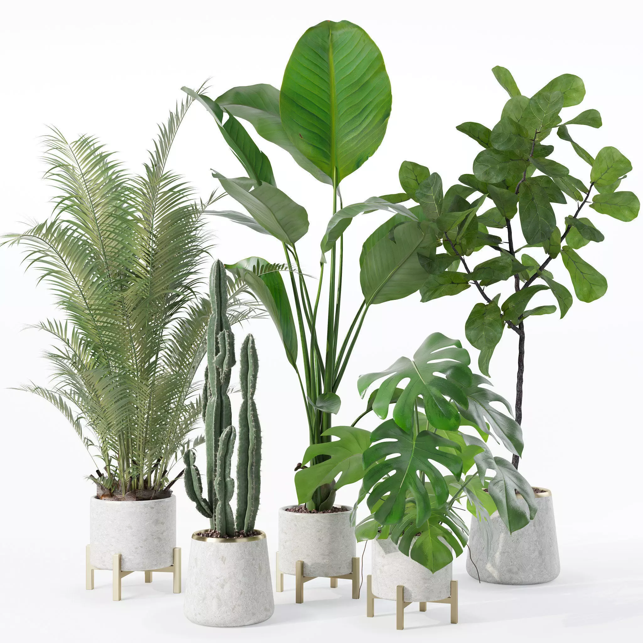 Plants collection 122 3D model_0