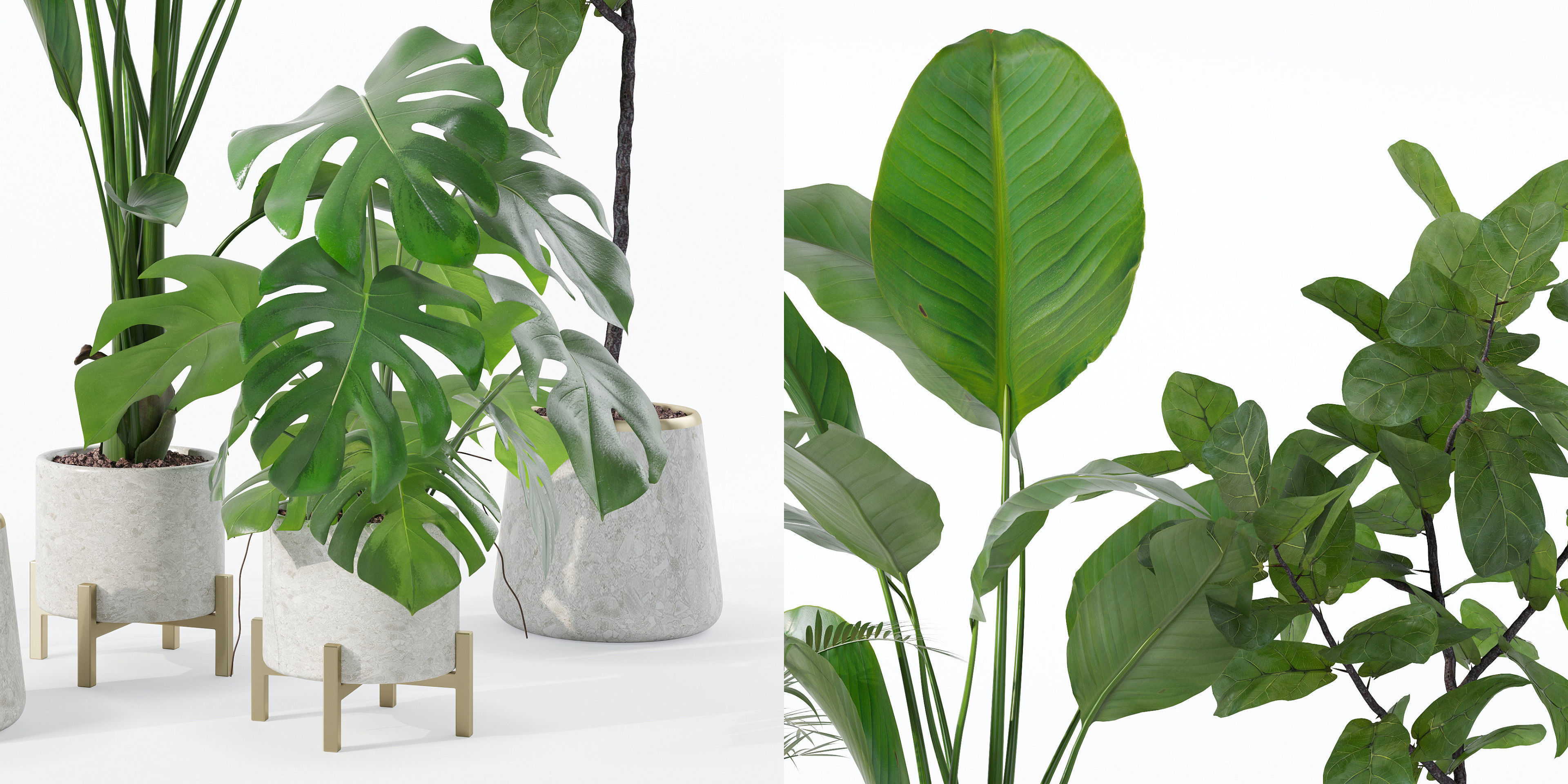 Plants collection 122 3D model_27