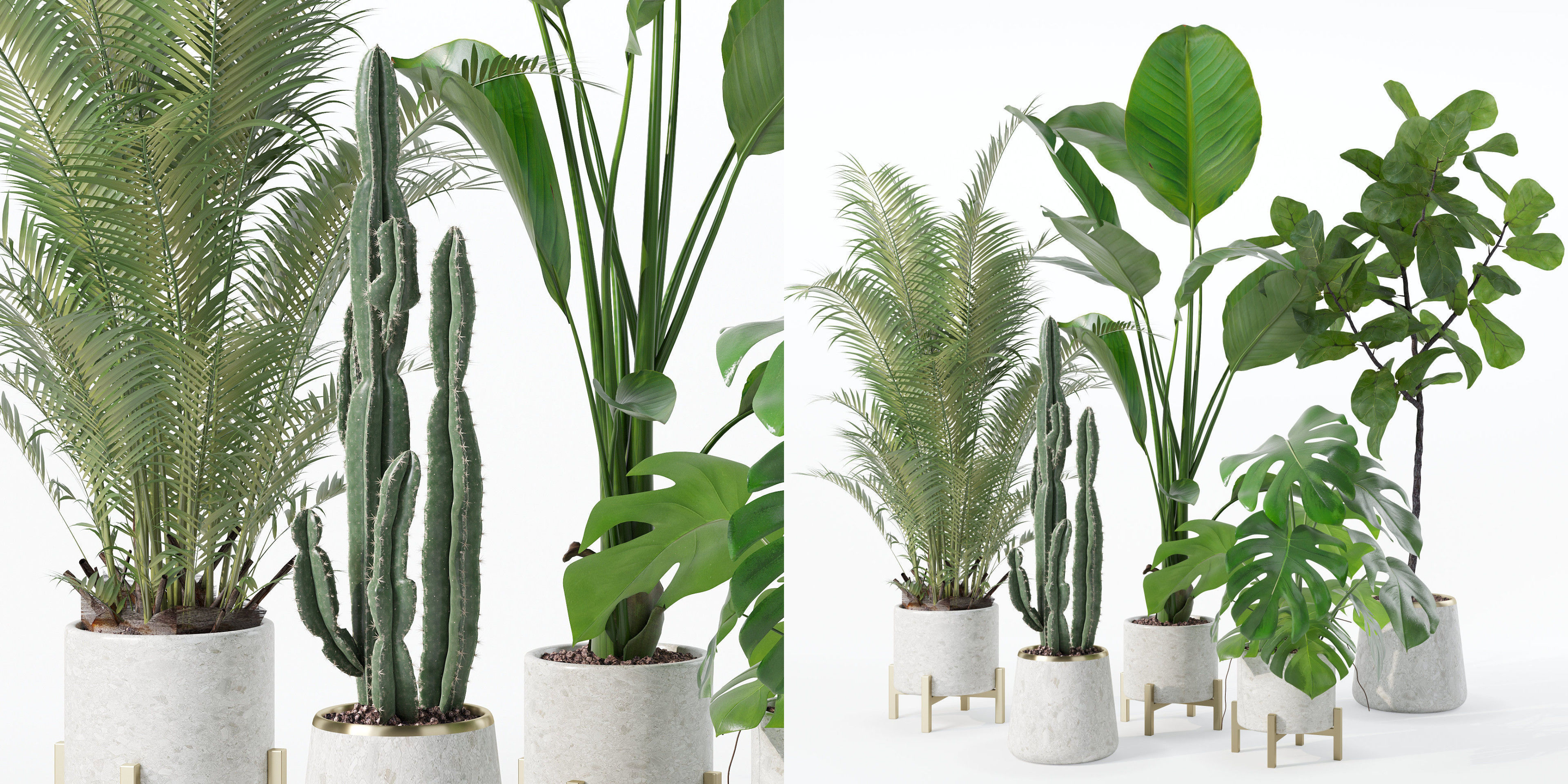 Plants collection 122 3D model_28