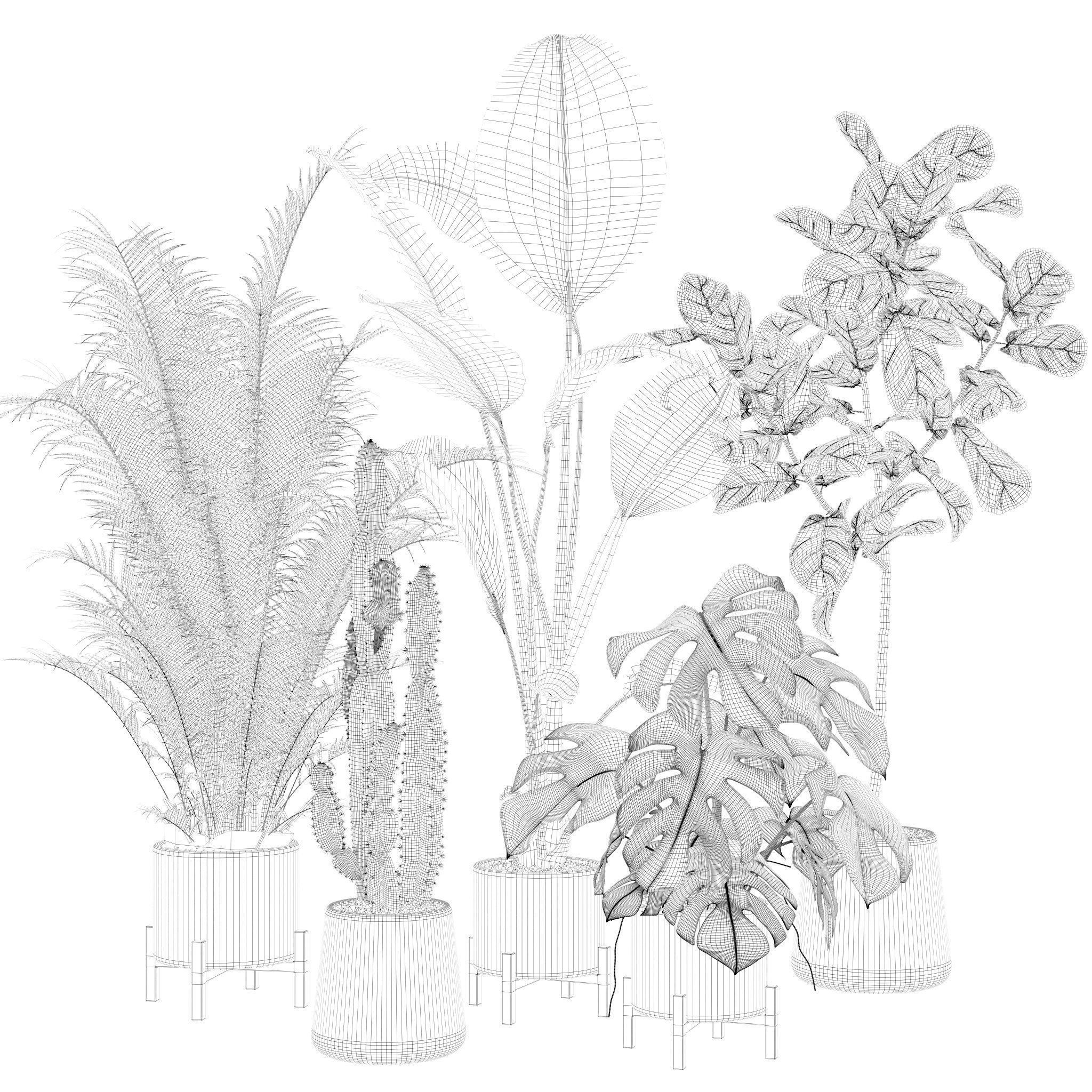 Plants collection 122 3D model_33