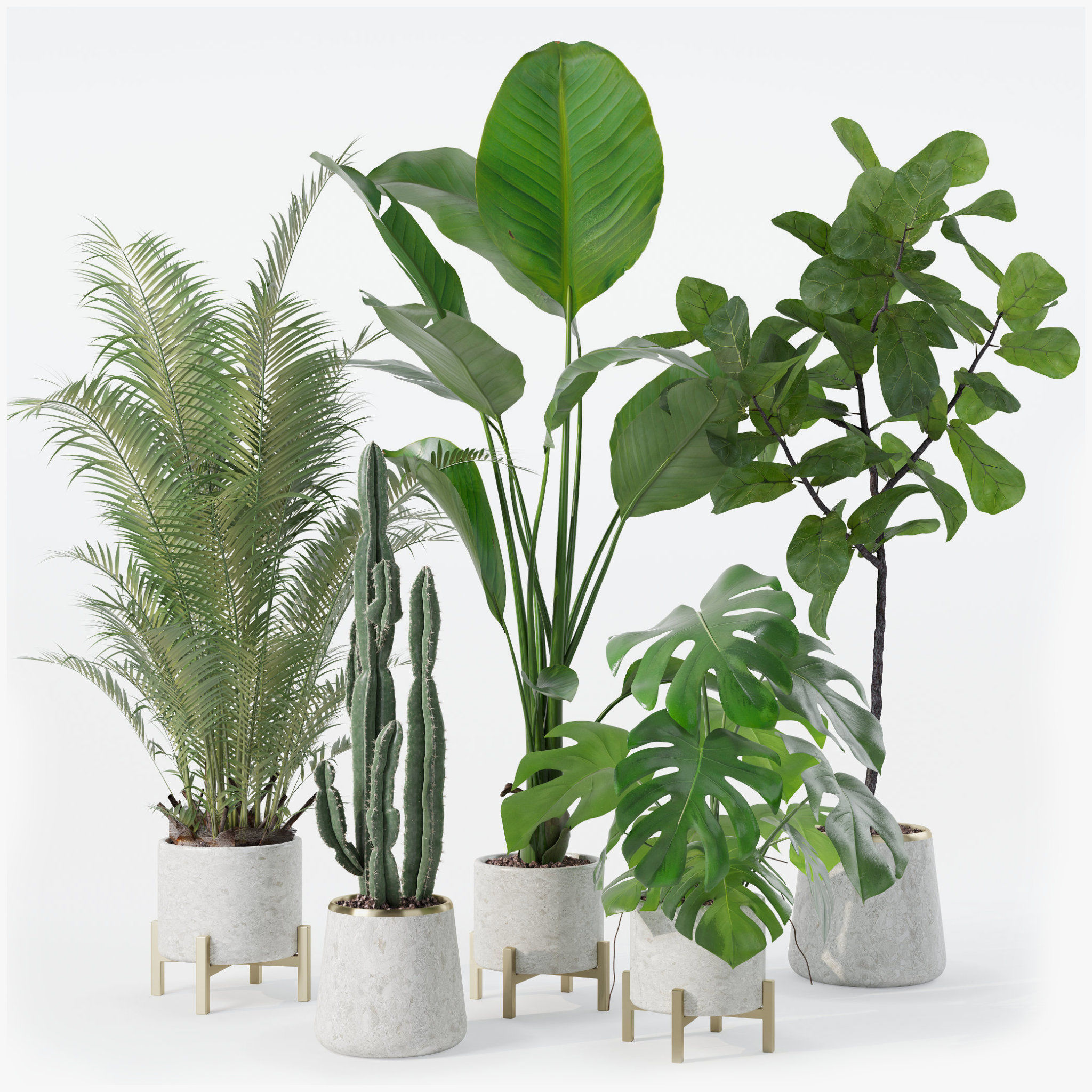 Plants collection 122 3D model_13