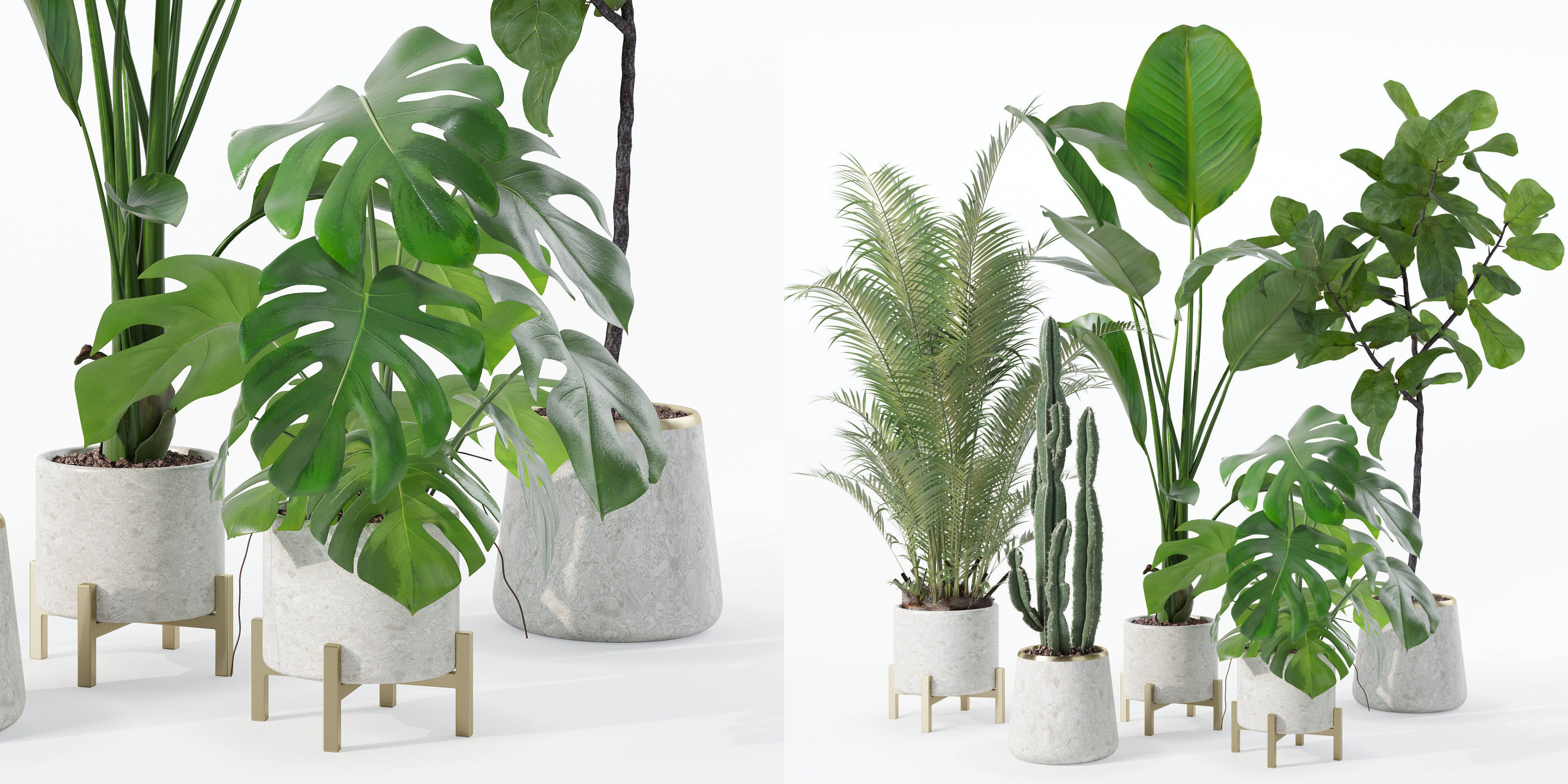 Plants collection 122 3D model_26