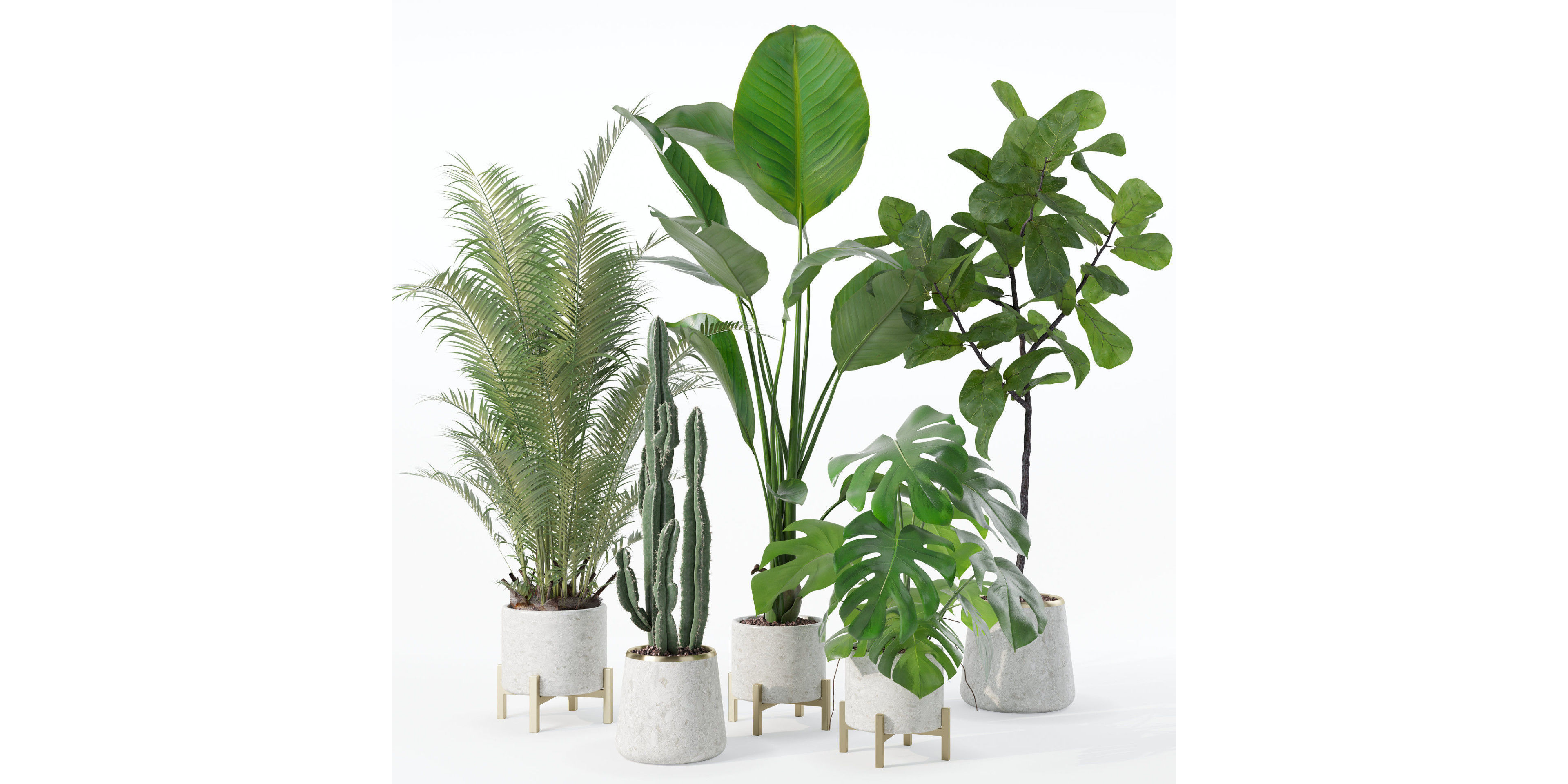 Plants collection 122 3D model_25