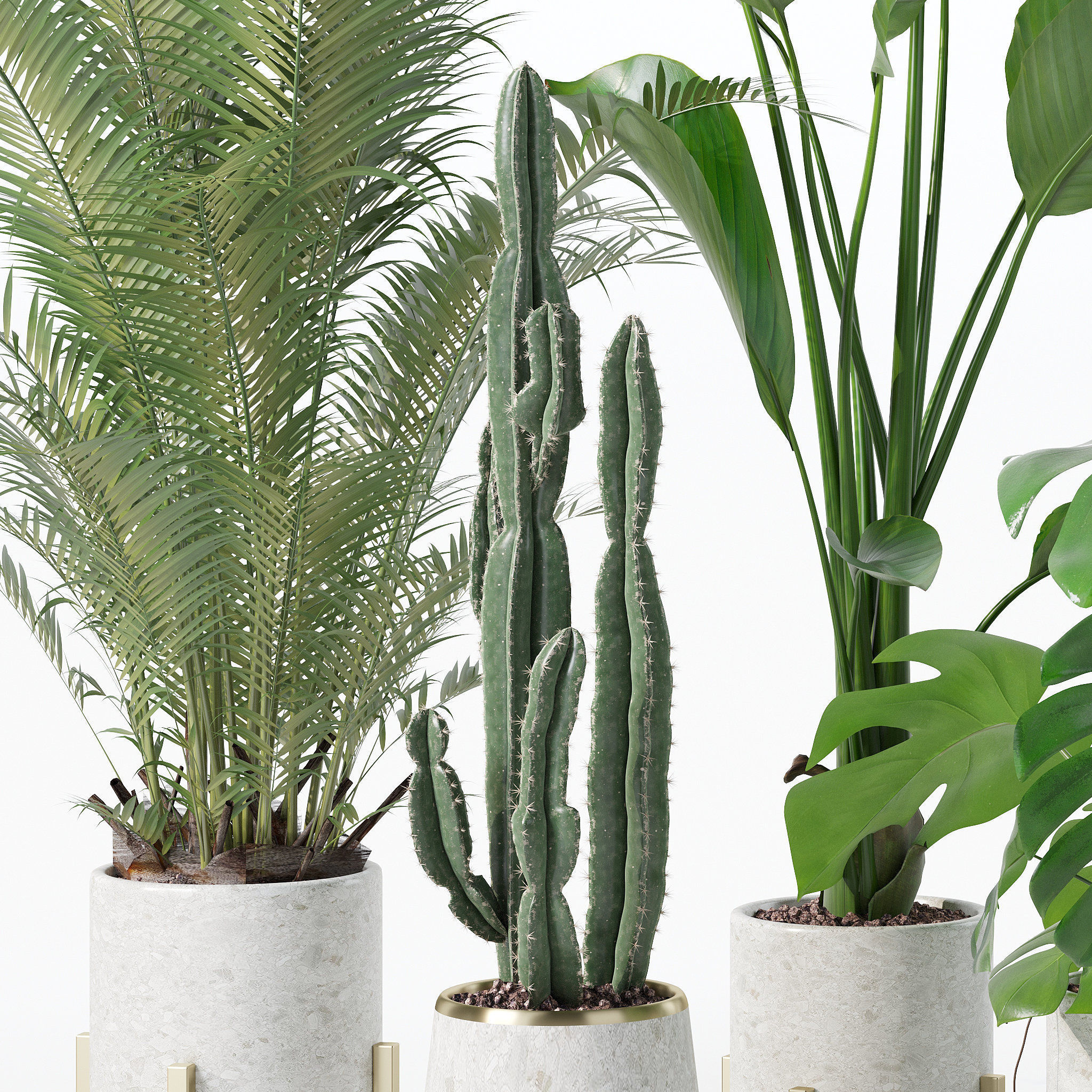 Plants collection 122 3D model_7