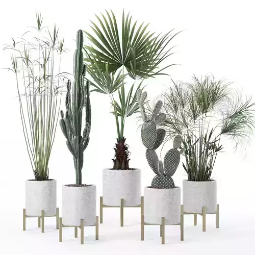 Plants collection 123 3D model
