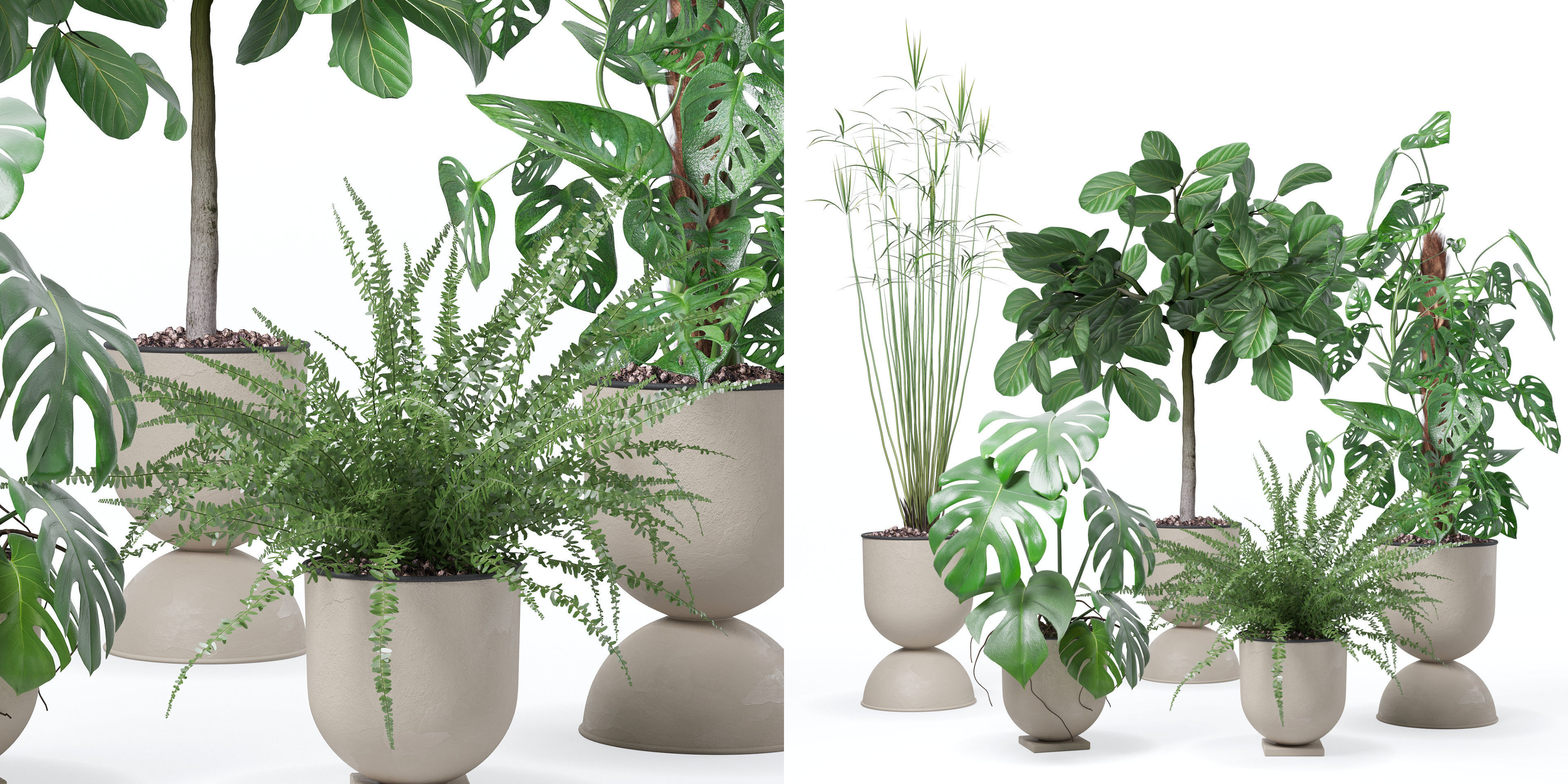 Plants collection 127 3D model_27