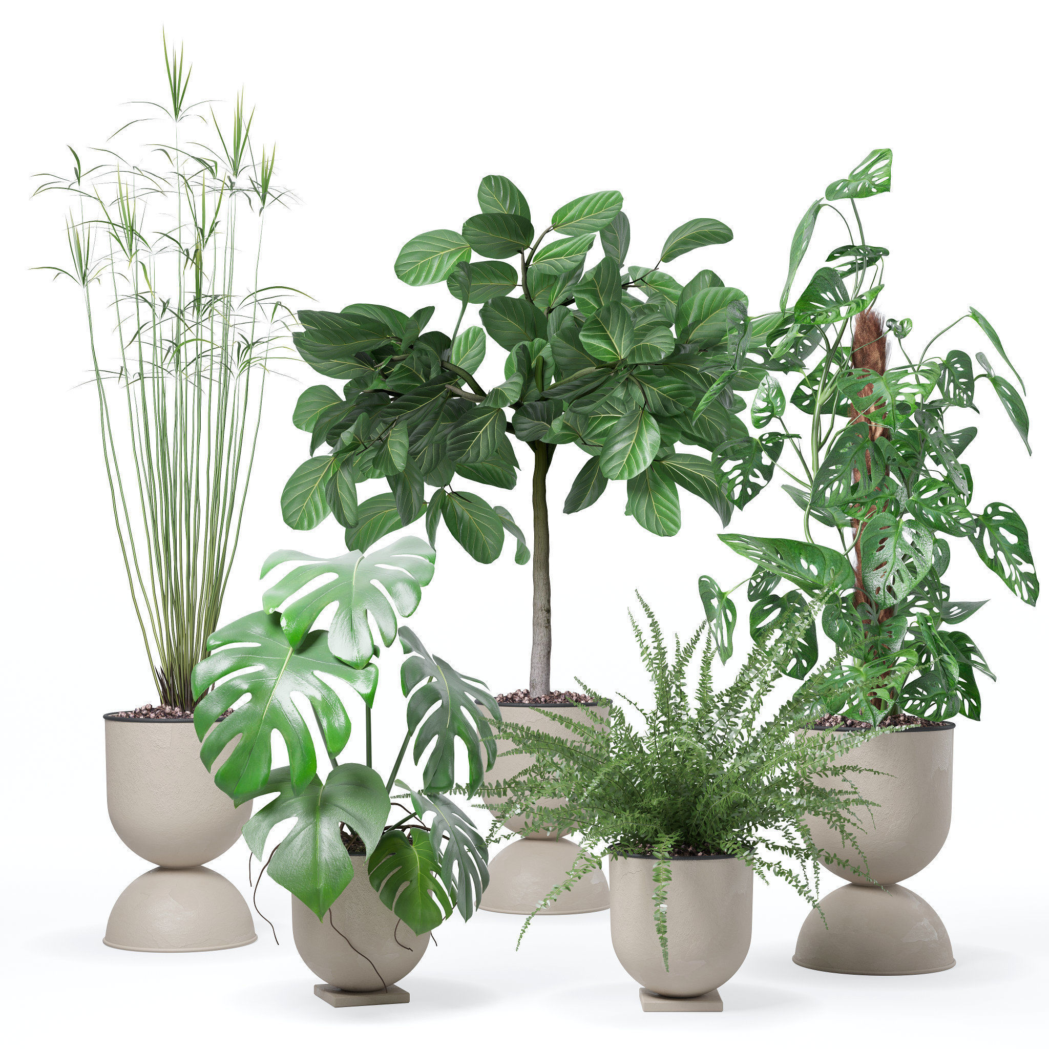Plants collection 127 3D model_22