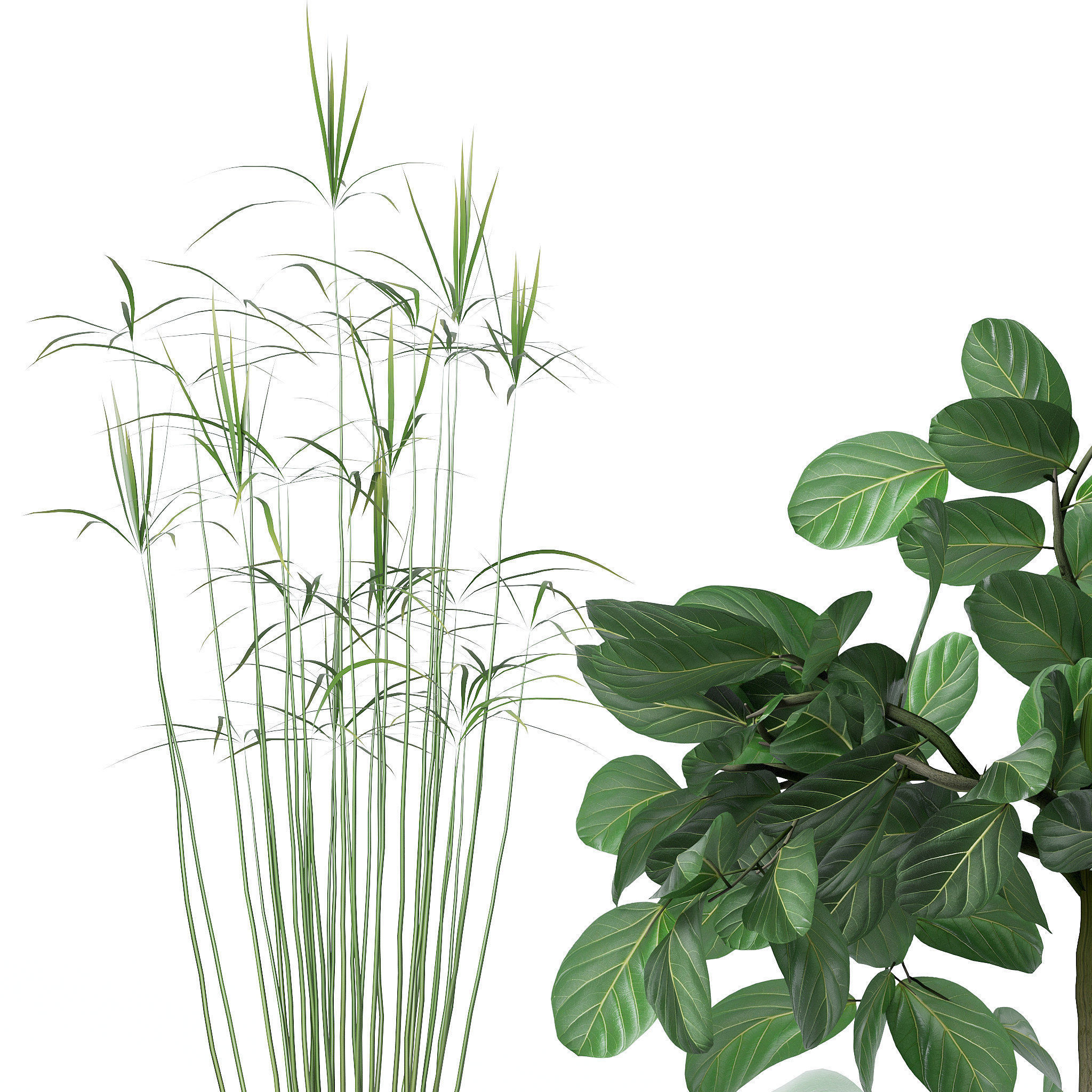 Plants collection 127 3D model_4