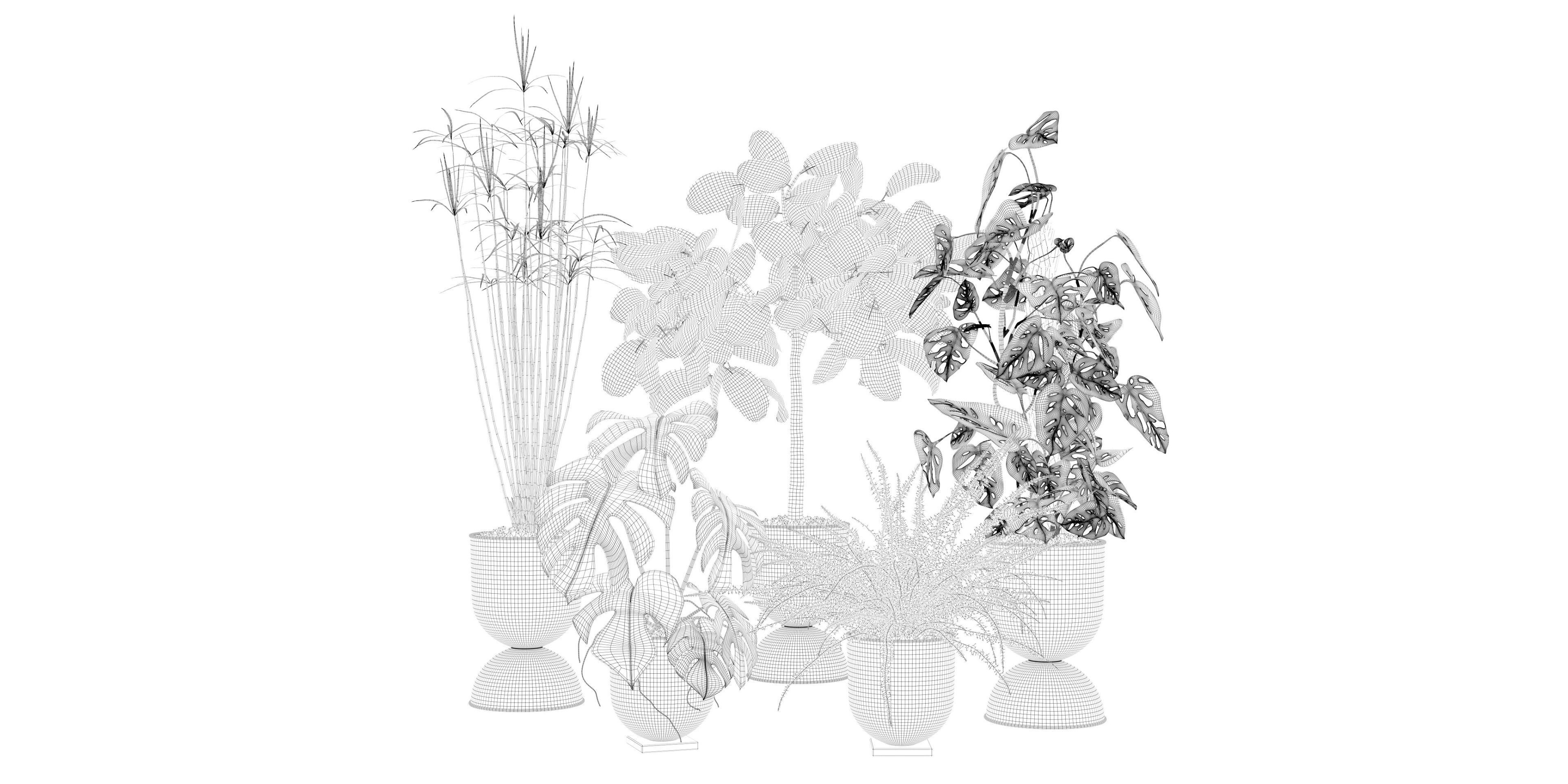 Plants collection 127 3D model_24