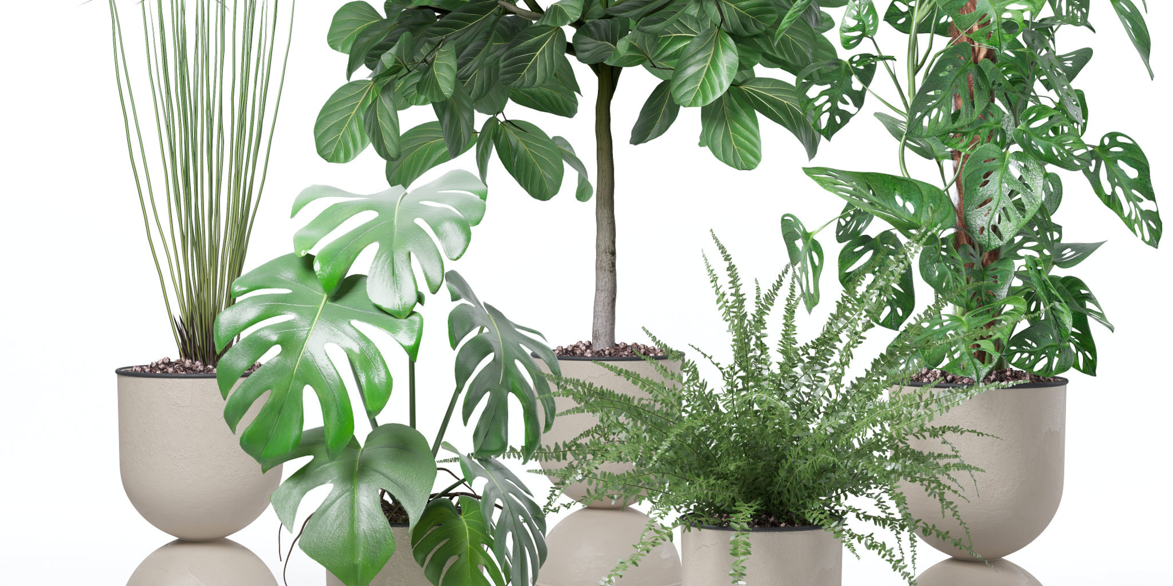 Plants collection 127 3D model_10