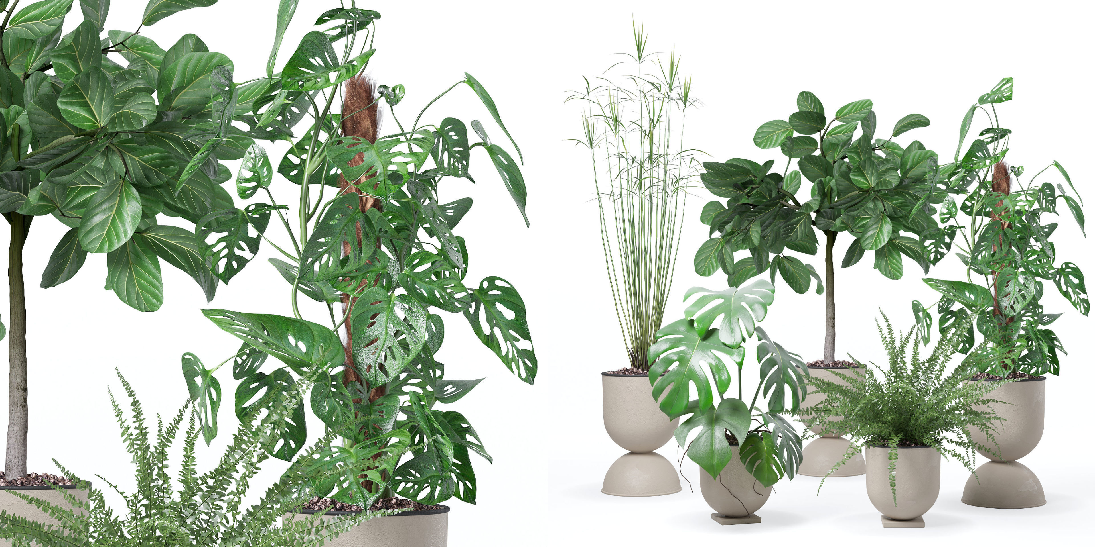 Plants collection 127 3D model_28