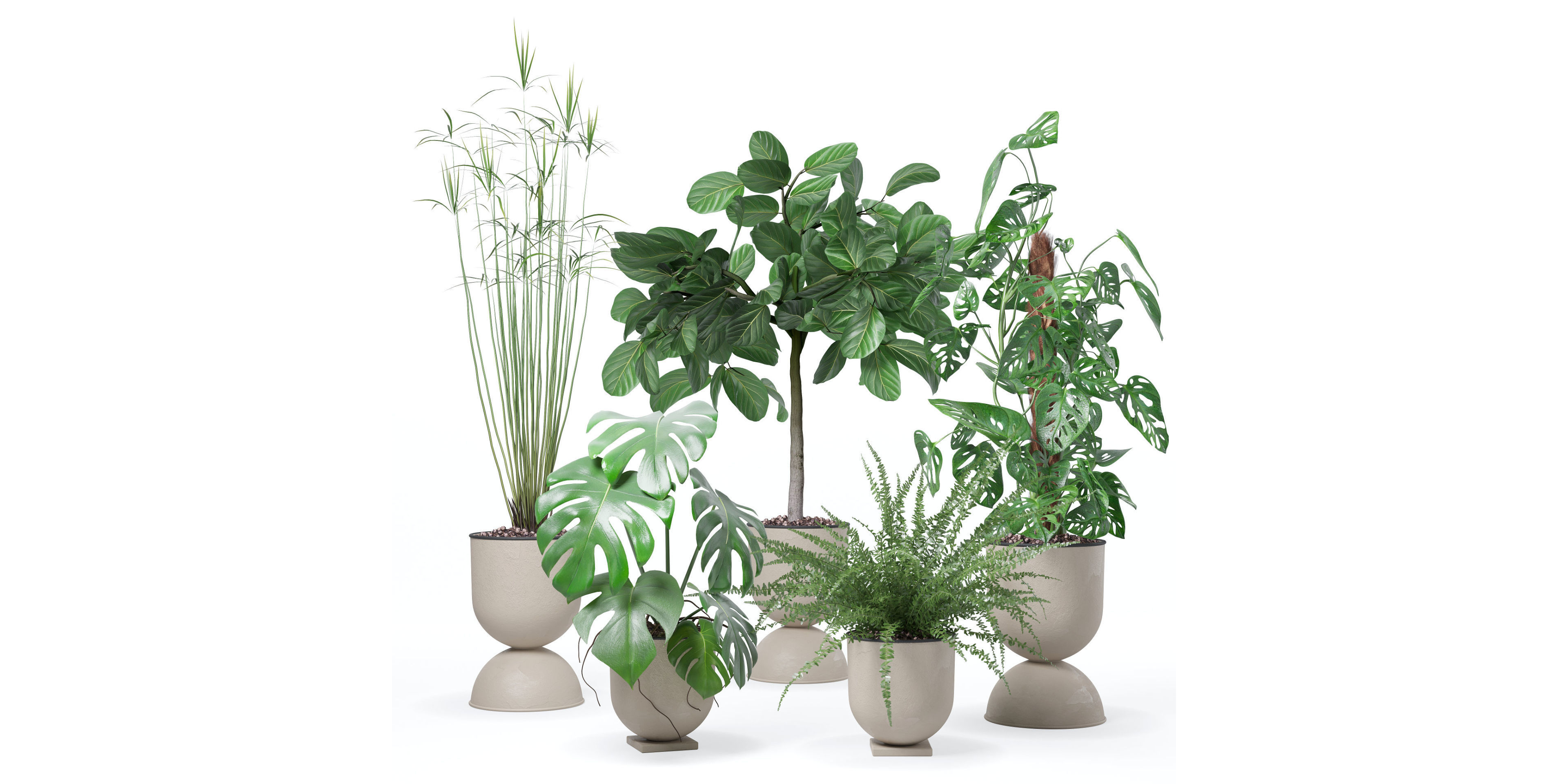Plants collection 127 3D model_25